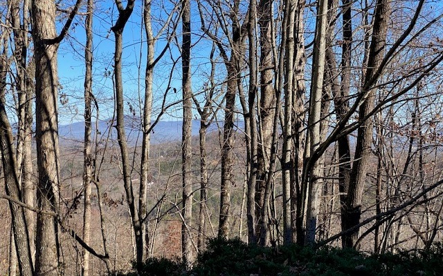 LONG RANGE LAYERED MOUNTAIN VIEWS! This 3.55 acre lot is minutes from downtown Blue Ridge. Easily accessible on all paved roads, this lot has a wonderful mixture of hardwoods, pine and laurel. City water available. Convenient to McCaysville, hiking, biking and all the amenities of Blue Ridge. Soil work completed.