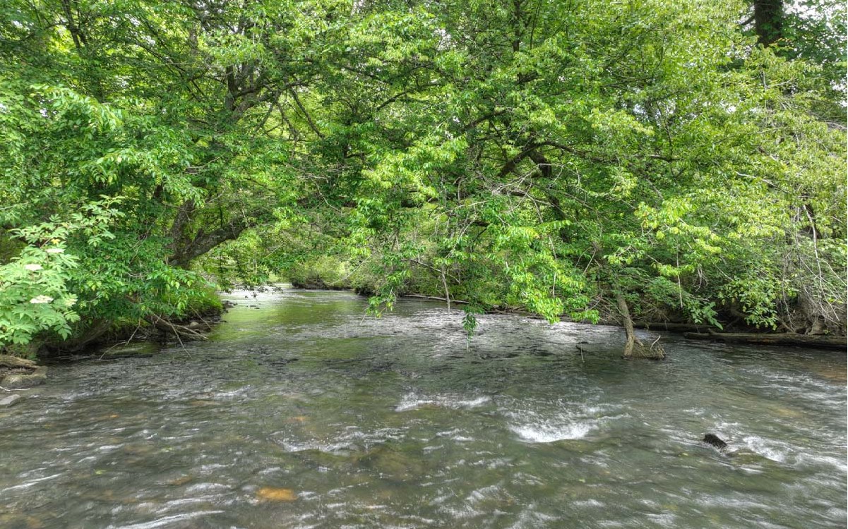 Tucked away in the heart of Cherry Log behind the gates of River Escape, this stunning riverfront lot is just the perfect site to build your dream waterfront retreat on the Ellijay River. With nearly 600' of water frontage, you'll enjoy rushing waters perfect for fishing, splashing, and unwinding! River Escape provides the dream combination of mountain views, river access, recreational opportunities, and convenience. Nestled between the historic mountain towns of Blue Ridge and Ellijay Georgia, this private, yet convenient community offers amenities such as river access, community room with outdoor fire pit, gated entry, maintained roads, and much more.