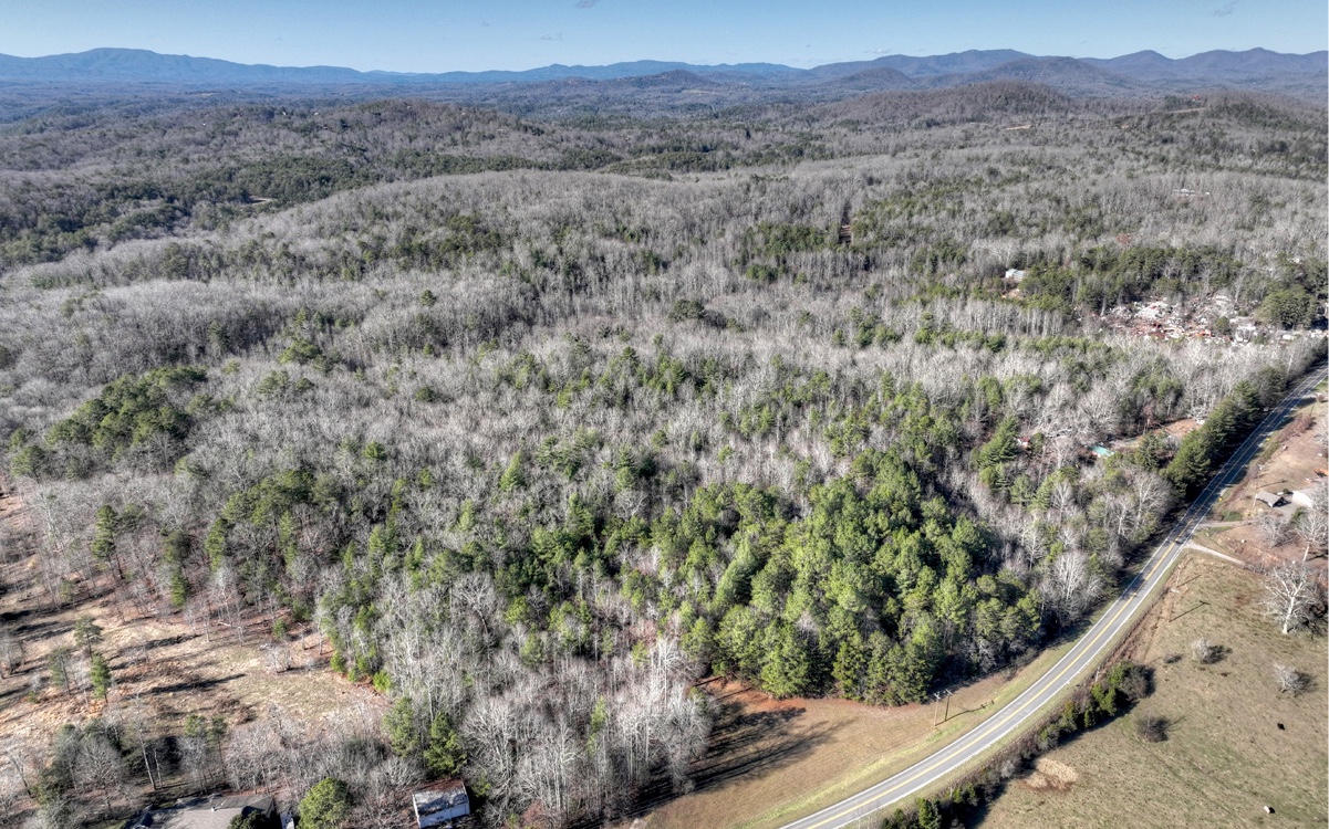 Virtually Untouched & Unspoiled...Nearly 90 Acres of rolling property with towering hardwoods and mesmerizing mountain views...this sprawling tract with old homeplace is conveniently located just a few minutes from historic downtown Blue Ridge...Lake BR, Toccoa River, trails and more...situated off of scenic paved road with easy access to Hwy 515, yet tucked away for plenty of privacy...this would be a perfect homestead, multi family estate, or a developers dream...plentiful homesites, utilities all nearby, ready for your vision!
