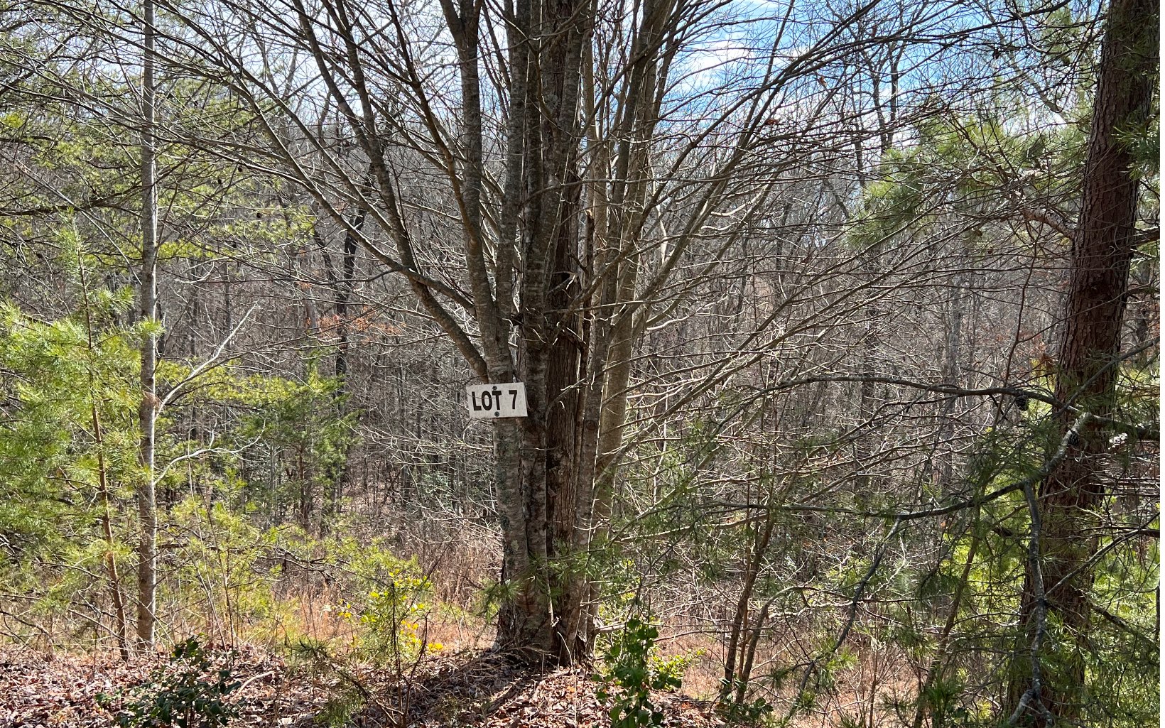 Affordable mountain home site. Great small community close to Blue Ridge on 1+ Acre lot close to kayaking on the Toccoa or great free concerts at Horseshoe Bend Park or how about the shopping and restaurants at the twin cities of downtown McCaysville GA and Copperhill, TN. Add another acre buying the adjoining lot that can make this over 2+ acres. Driveway already cut in with a great building spot cleared and ready. Nice creek bordering the back side of property on both lots 7 & 8. County water, power and internet available. Call agent to see. Covenants Maybe Expired, Check county for proof.