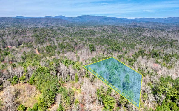 Own your own slice of mountain property just 3 minutes east of Rainbow Lake where fishermen flock to cast lines for brown trout, largemouth bass, catfish, and rainbow trout. A little over 2 acres, the lot ranges in terrain from level/gentle to rolling, all providing the perfect backdrop for your new mountain home. Head southeast 19 minutes to historic downtown Ellijay where you’ll find plenty of shopping, dining, and quaint bed & breakfast inns. Gilmer county is known for its apple orchards and the Georgia Apple Festival when thousands come to enjoy the many offerings including a renowned arts & crafts fair, a classic auto show, a 5K road race, and the annual festival parade. Come live the mountain life you’ve been dreaming of here in Ellijay!