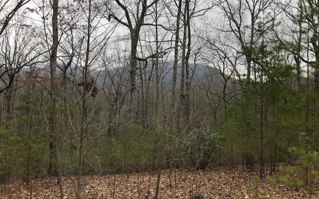 4.78 Acres. Close to Town and Lake Chatuge. Soil test completed. There are 3 areas that perked for septic. Quiet street of nice homes. Great views with some clearing. Build your dream home or possible divide.