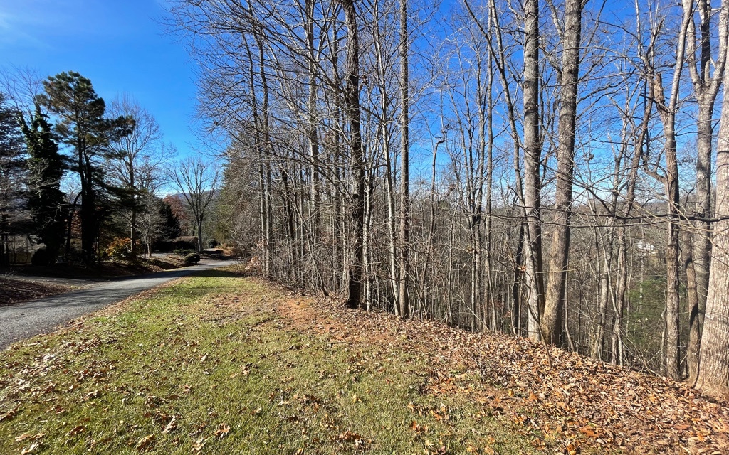 Year round mountain views with an awesome location in the enchanted valley of Young Harris, GA! 3.13 acres. Sloping lot, perfect for a basement. Minimal restrictive covenants. 1,200 sqft minimum building requirement. No HOA. Paved roads, underground utilities, & level 3 soil report complete and approved for septic. Less than 1/2 mile to beautiful Brasstown Valley Resort. Easy 5 minute drive to public access on Lake Chatuge! Come build your dream cabin in the beautiful mountains of North GA!