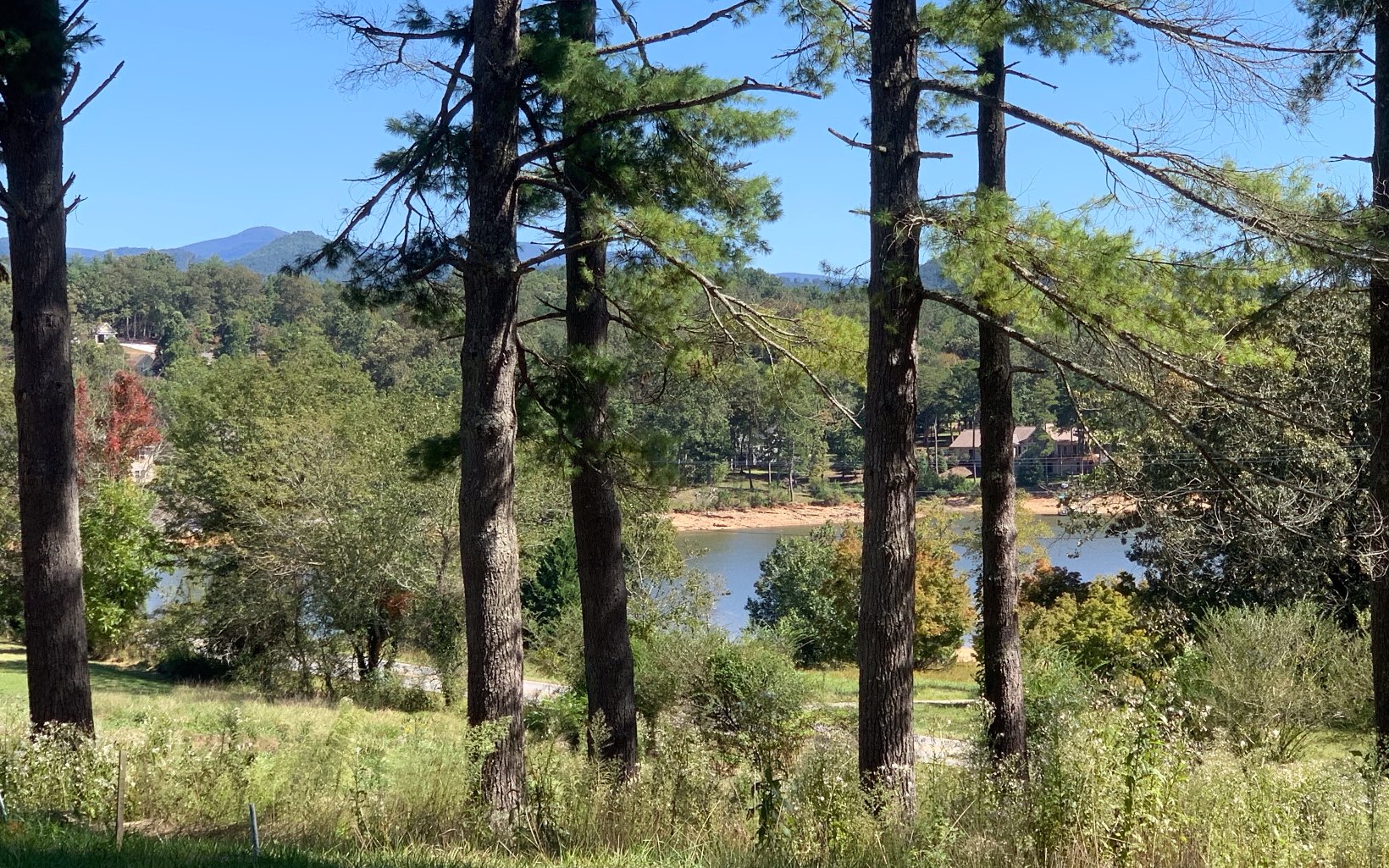 Lake season is here! Here is your chance to build in Blairsville's newest Lake Community Highland Park on beautiful Lake Nottely! This 0.91 acre lot has year round mountain & lake views. Borders a small stream in a private setting.The terrain is gentle, but would make a great basement lot! Near the cul-de-sac for best privacy! Community offers lake access, paved roads, amazing mountain & lake views, fiber optic internet, underground utilities (power/water) & gated access. The clubhouse is lakefront with a salt water infinity pool, full kitchen, outdoor fireplace, lots of decking overlooking the lake, exercise room, theatre room, childrens play room, pool table/game room & boat slips. This is the place to live! Less than 5 minutes back to Blairsville. The county offers hiking access to the Appalachian Trail, waterfalls, Vogel State Park, Meeks Park, Brasstown Bald (GA's highest mountain) and lots of other hiking trails. We also have a wonderful Farmers Market, great restaurants, quaint shops around the historic square, 2 golf courses, wineries & a short drive to the casino in Murphy, NC!
