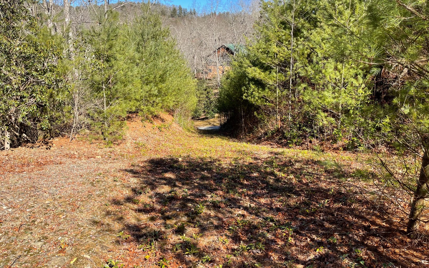COME BUILD YOUR PRIVATE NORTH GEORGIA MOUNTAIN GETAWAY IN A GATED SUBDIVISION BETWEEN HIAWASSEE & HELEN GA!! Wooded Lot in the Mountains of North Georgia. The community offers gated entrance, ponds, Creekside fun and fishing, privacy. Short walk to Appalachian trails, in addition a short ride to Brasstown Bald.