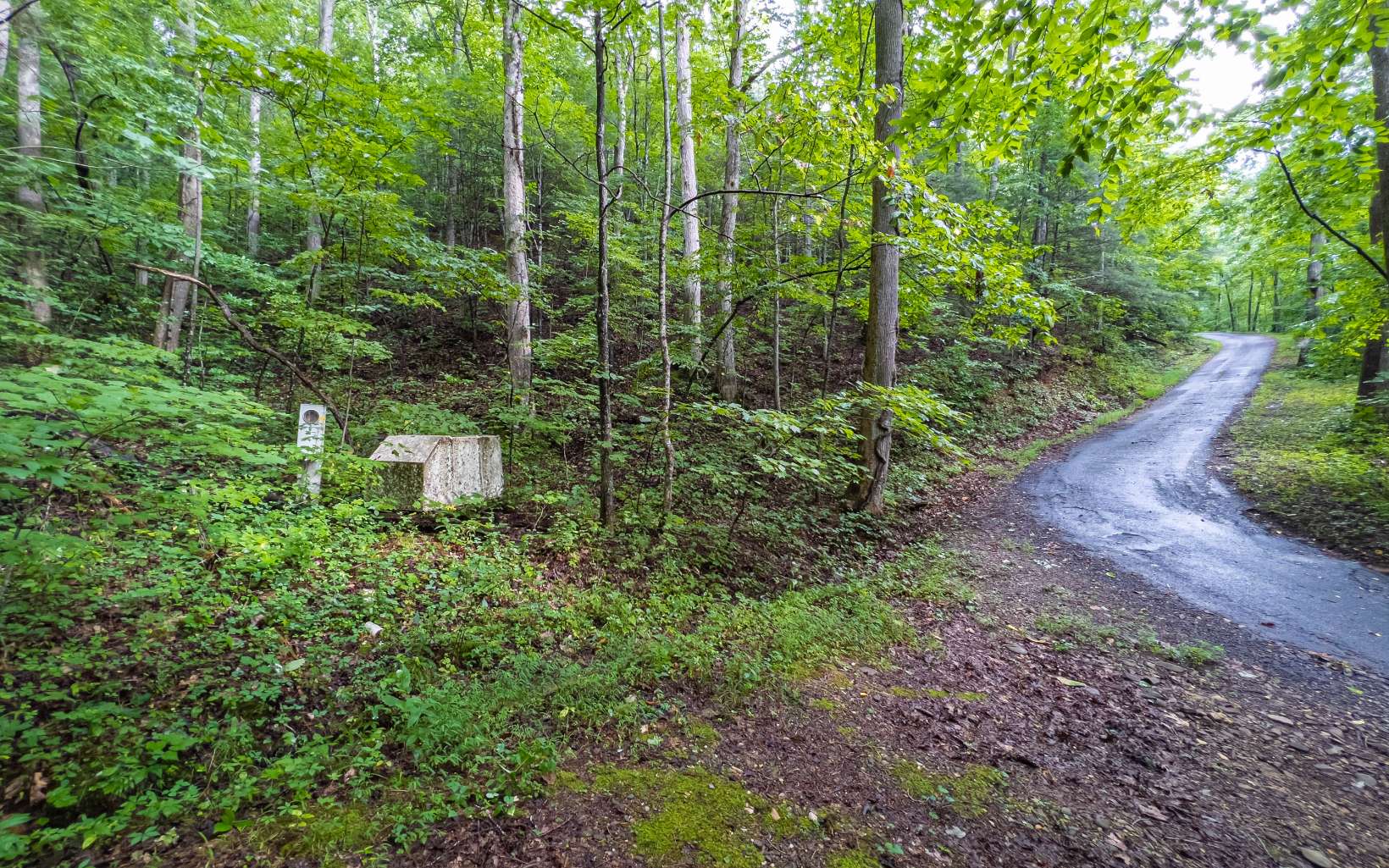 2.16 acres with underground utilities, water, phone, electric and all-paved access from the incredibly scenic White Oak Forest Road. This wooded lot is less than 5 miles from downtown Hiawassee, Lake Chatuge access and Towns County schools. The attraction-packed Helen, GA is less than 20 miles away, and in between are waterfalls, hiking trails (Appalachian Trail access), and camping and fishing areas! If you're looking for a safe and very neighborly place to build your mountain getaway or full-time residence, then this lot is for you.