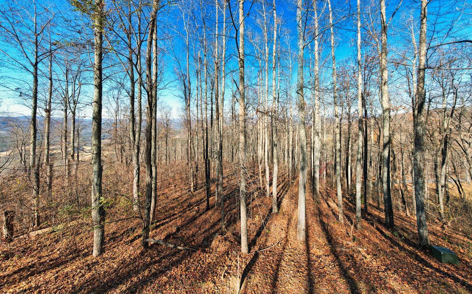 1.34 acres in Rocky Knob Estates Subdivision. Incredible views from this community. Vista pruning will expose even better views from the lot. Gated, well-maintained, paved roads for easy access, generous building site on knoll, lot is close to amenities including gazebo, fire pit and observation deck. Close to Young Harris College, Brasstown Valley Resort, waterfalls, lakes and US National Forest.