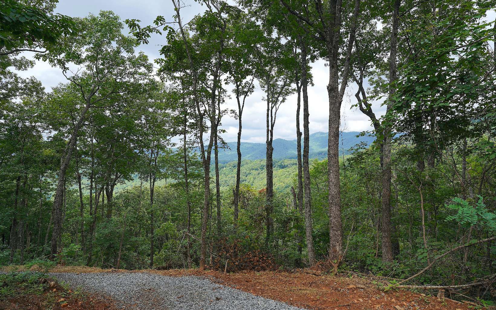 1.59 acre lot on Double Knob Mountain in the exclusive ““Eagles View “ Subdivision. This lot is already partially cleared with a driveway leading to a private building site. Underground power, telephone already in place, and a has a new 10 gpm well with excellent tasting Spring water. Lots 4 and 6 are also available for additional privacy. Don't miss your opportunity to own a piece of the North Georgia Mountains!