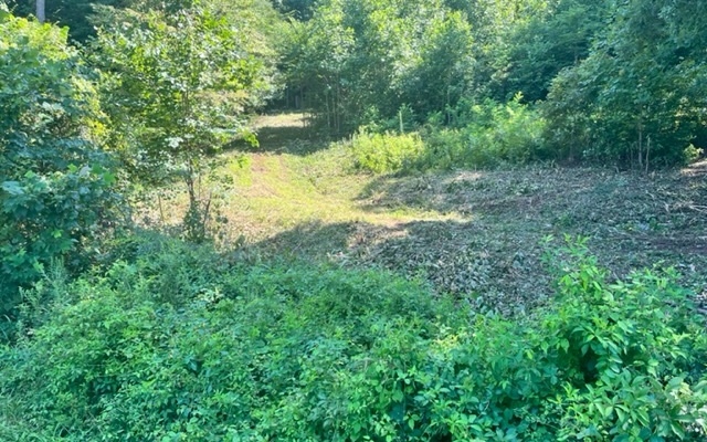 This property has unlimited commercial potential. Over 282 feet on Highway 76 offering 3.42 acres. Easy slope and mature timber. It's recommended that you DO NOT enter old home or garage. There is a flowing branch on east side of property line.