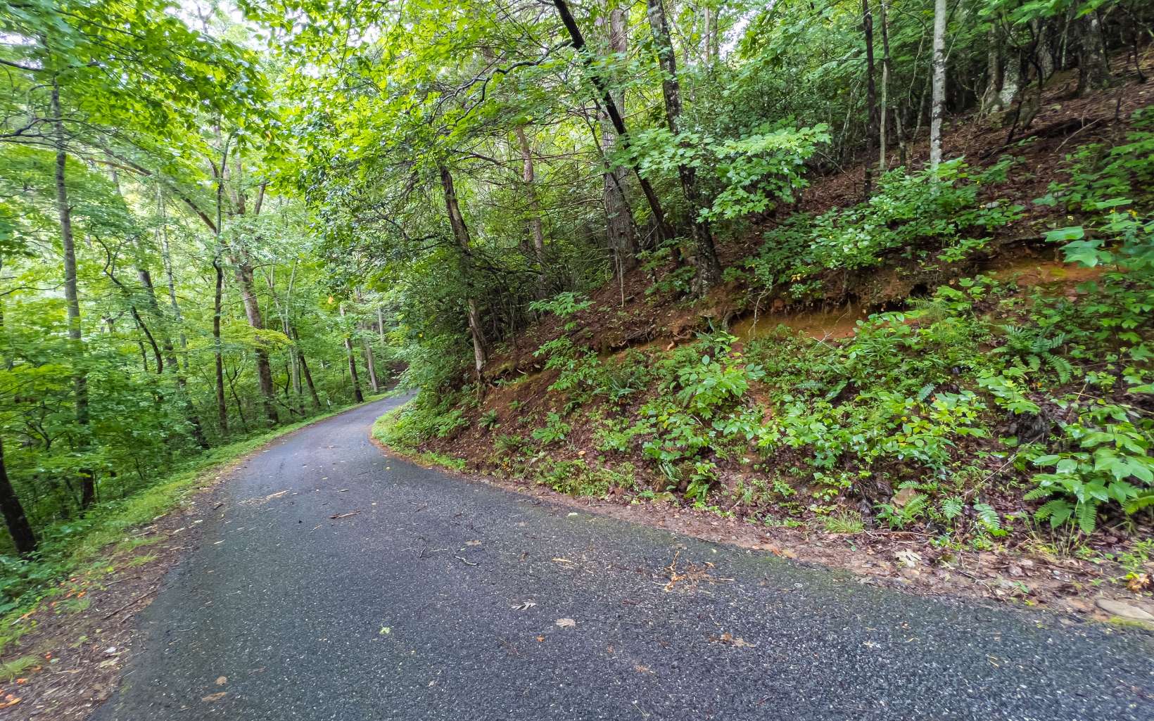 1.61 acres with underground utilities, water, phone, electric and all-paved access from the incredibly scenic White Oak Forest Road. This wooded lot is less than 5 miles from downtown Hiawassee, Lake Chatuge access and Towns County schools. The attraction-packed Helen, GA is less than 20 miles away, and in between are waterfalls, hiking trails (Appalachian Trail access), and camping and fishing areas! If you're looking for a safe and very neighborly place to build your mountain getaway or full-time residence, then this lot is for you.