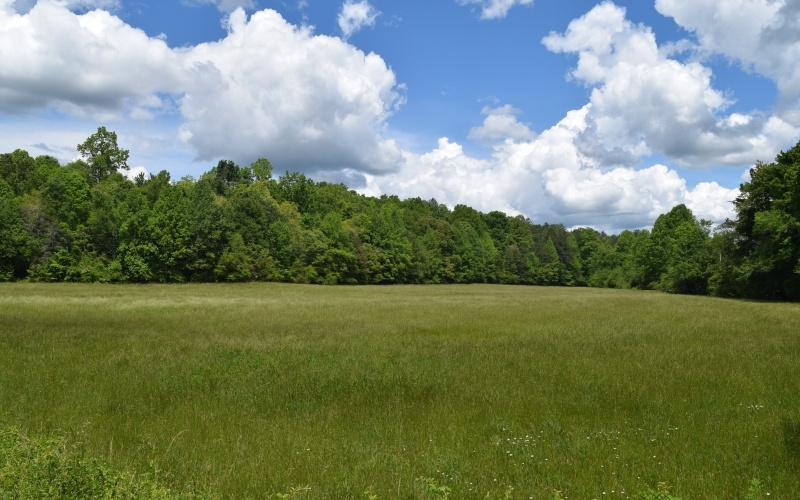7.41 acres of some of the prettiest country scenery in Fannin County, GA! Take the short drive down the paved county road and round the corner to behold an open field afoot wooded hills, perfect for a home site overlooking your dominion with creek frontage. UNRESTRICTED! Opportunities for use abound: easy pasture for horses and outbuildings, plenty of space to build your personal country estate home. Location and character includes the best of all worlds including lengthy frontage on Bryan Creek, flat pasture and rolling wooded hills, trees for shade and ALL PAVED ACCESS. Minutes in either direction to Blue Ridge and Blairsville, stop by with your dreams and plans today! OWNER FINANCING AVAILABLE.