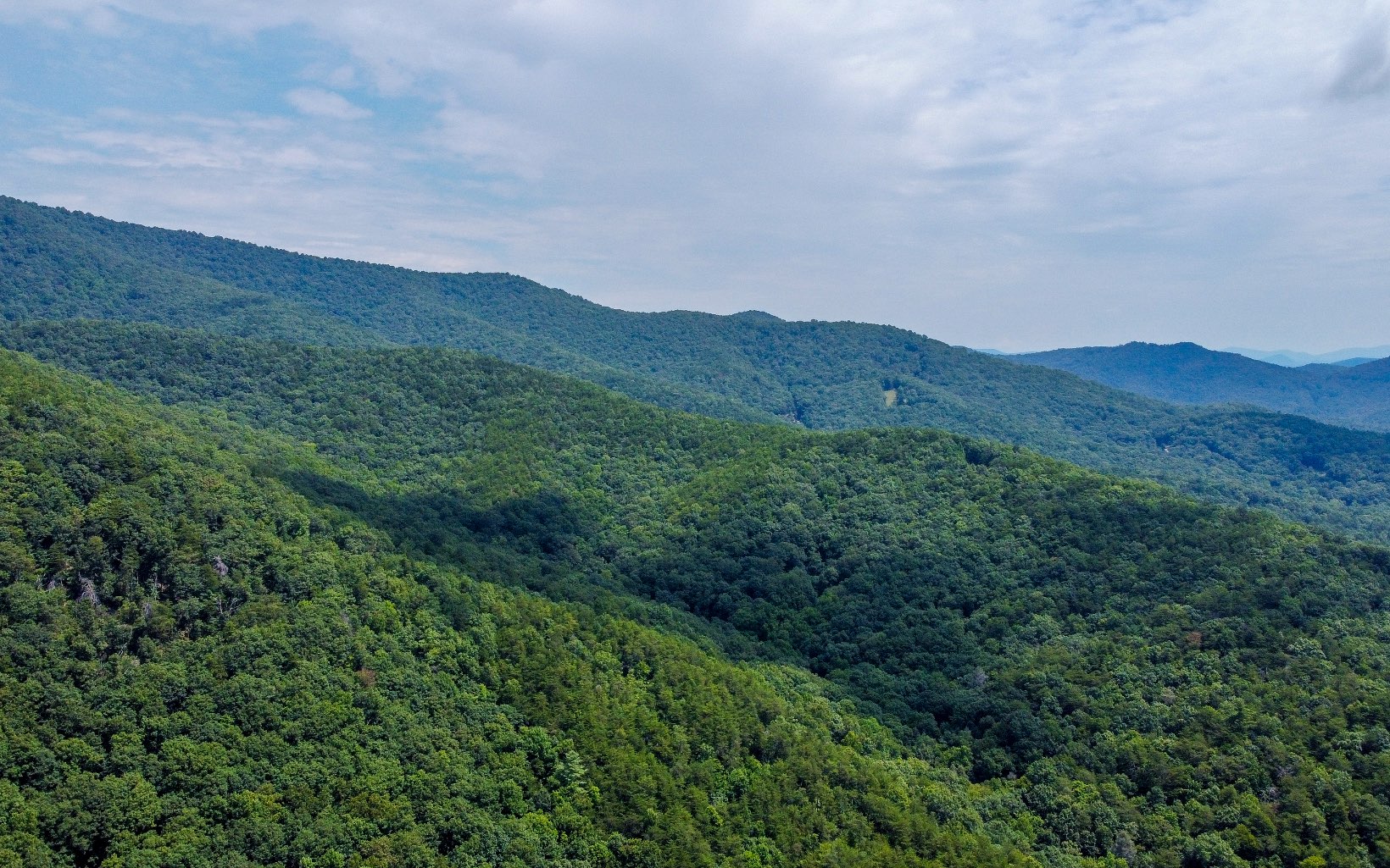Private Acreage with Views of Rich Mountain Wilderness! Beautiful 4.88 Acres Bordering USFS with Utilities to Property Line and Large Hardwoods. Located just 15 minutes from Downtown Ellijay.