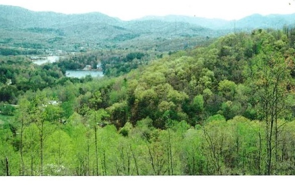Beautiful wooded lot in upscale community with year round Views of Lake Chatuge and surrounding mountains. This large 1.69 acre lot has a terrific build site, paved road access, public utilities in place and is ready for build! Some clearing during construction will open up big views! Lot is accessible from upper road with a drop down loop back drive. Great location only minutes to downtown Hiawassee, Lake Chatuge and Boundary Waters Marina. One of the last remaining lots available.