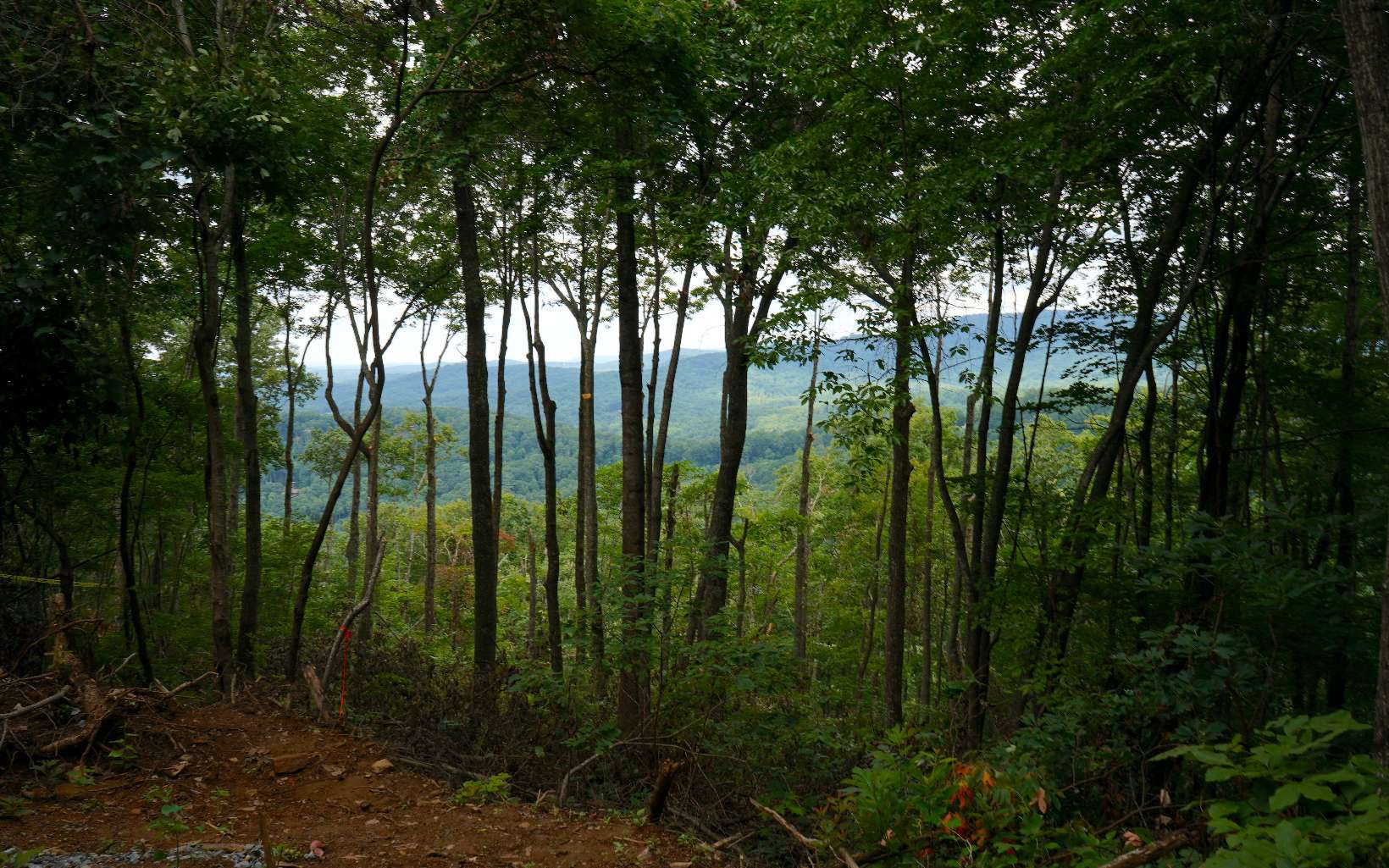 1.54 Acre lot on top of Double Knob Mountain in the exclusive "Eagle's View" subdivision! Seller has already contracted to have well installed. Level 3 soil analysis completed. Underground utilities already in place. Clear some trees to open up an incredible view. Lots 4 and 5 also available for additional privacy. Don't miss out on your chance to own a stunning piece of the North Georgia Mountains!