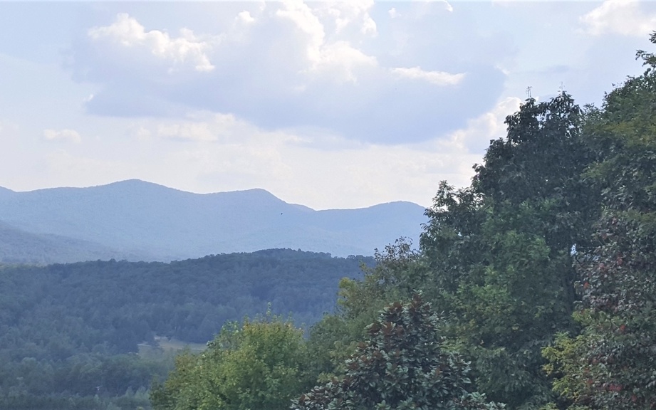 Do you want to build a traditional home with peaceful, serene long range views. Look down on the quaint little town of Blairsville as you sip your coffee in the morning. This home has "Class A" long range mountain views. The lot is priced right at $34,900!