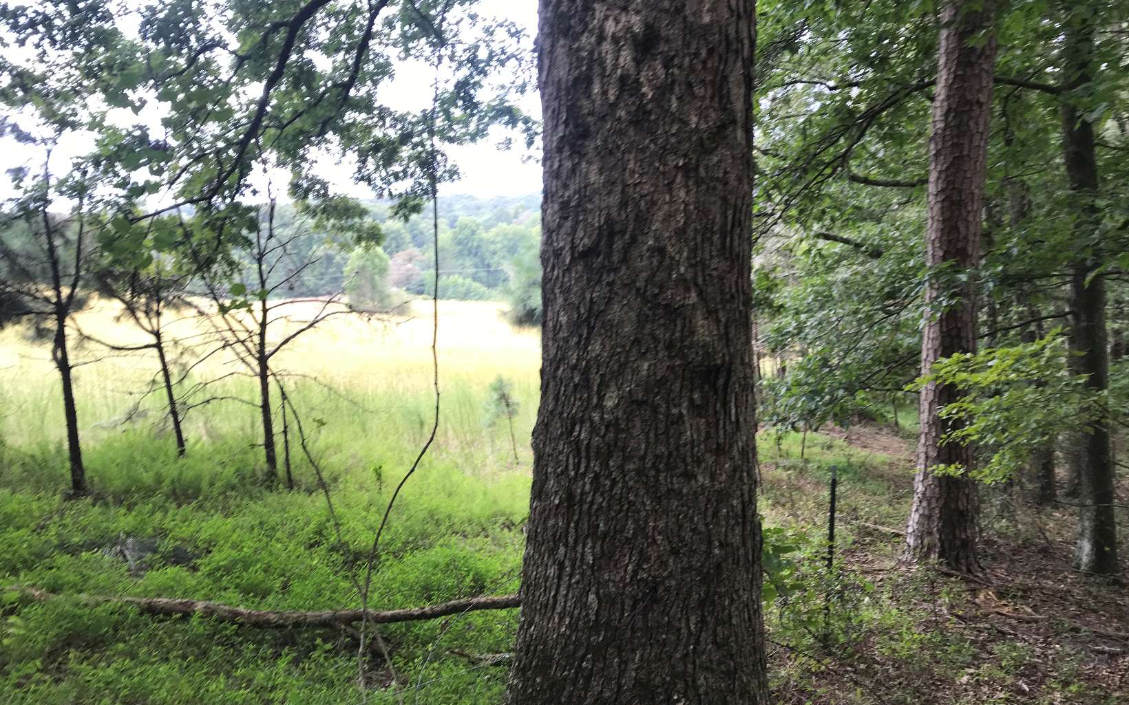 Seller will sell off 25 acres that joins pasture end. Buyer to pay for survey. This property goes from Hickory Ridge Road to the pasture on Yukon road. Water available, joins Hickory Ridge subdivision, Shady Acres Subdivision and has access frrom Yukon Road