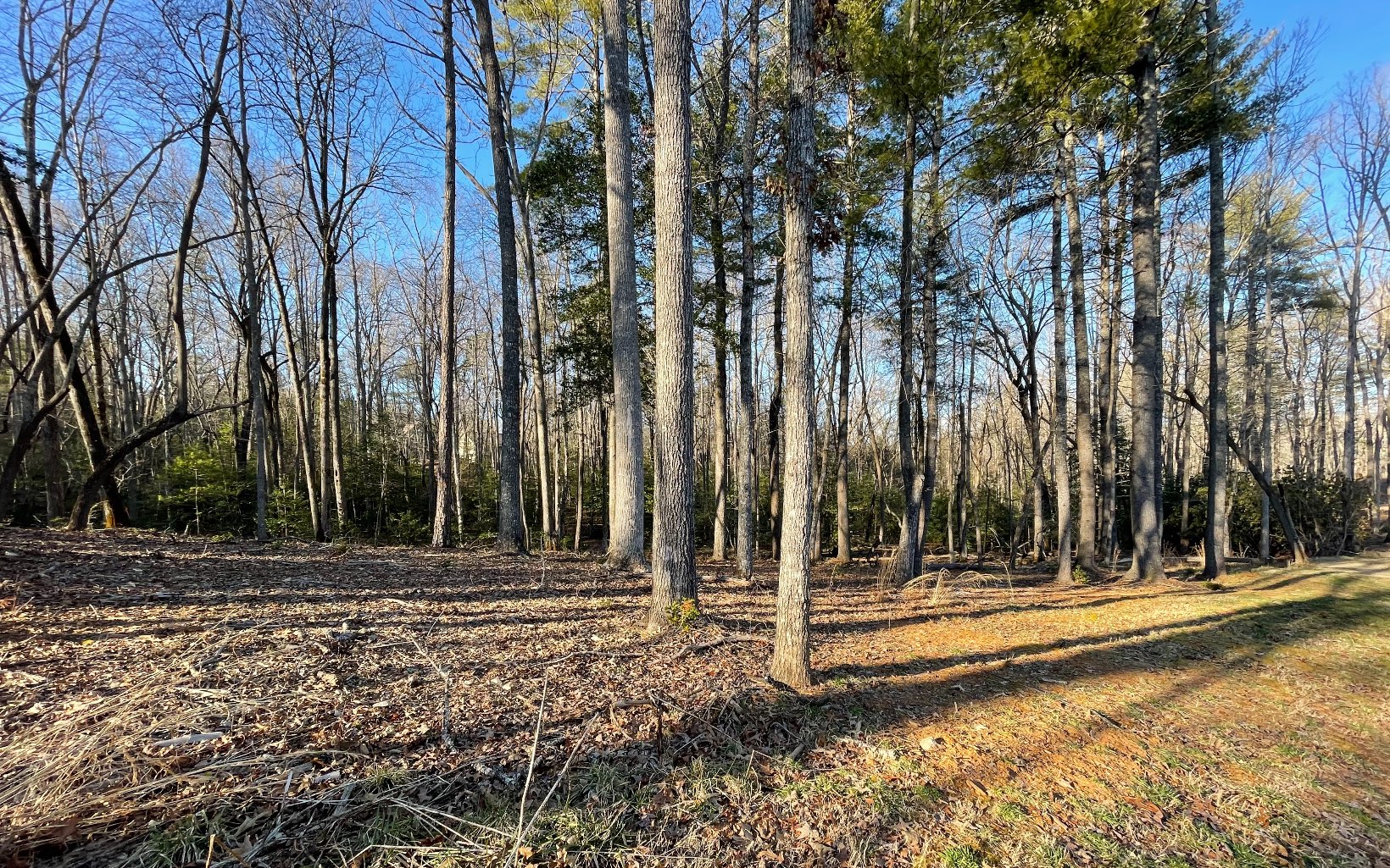 Here is your chance to build in Blairsville's newest Lake Community Highland Park on beautiful Lake Nottely! This 1.05 acre lot offers seasonal views & borders a small stream in a private setting.The terrain is gentle, but would make a great basement lot! Community offers lake access, paved roads, amazing mountain & lake views, fiber optic internet, underground utilities (power/water) & gated access. The clubhouse is lakefront with a salt water infinity pool, full kitchen, outdoor fireplace, lots of decking overlooking the lake, exercise room, theatre room, childrens play room, pool table/game room & boat slips. This is the place to live! Low HOA is only $600/year! Less than 5 minutes back to Blairsville. The county offers hiking access to the Appalachian Trail, waterfalls, Vogel State Park, Meeks Park, Brasstown Bald (GA's highest mountain) and lots of other hiking trails. We also have a wonderful Farmers Market, great restaurants, quaint shops around the historic square, 2 golf courses, wineries & a short drive to the casino in Murphy, NC!