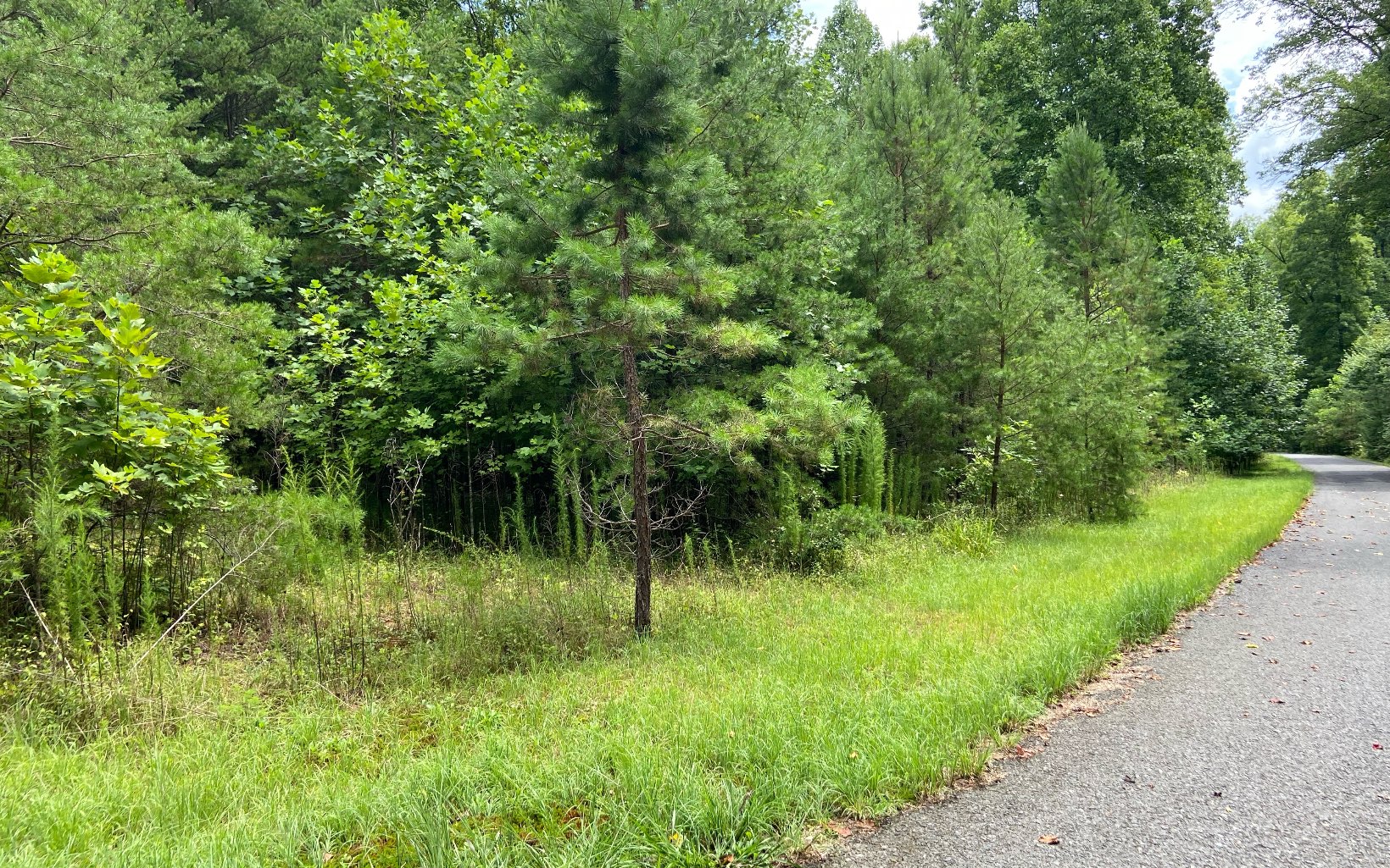 2.89 wooded acres in a beautiful community, with very nice homes. This lot is level and gentle, ready for clearing for your mountain home.