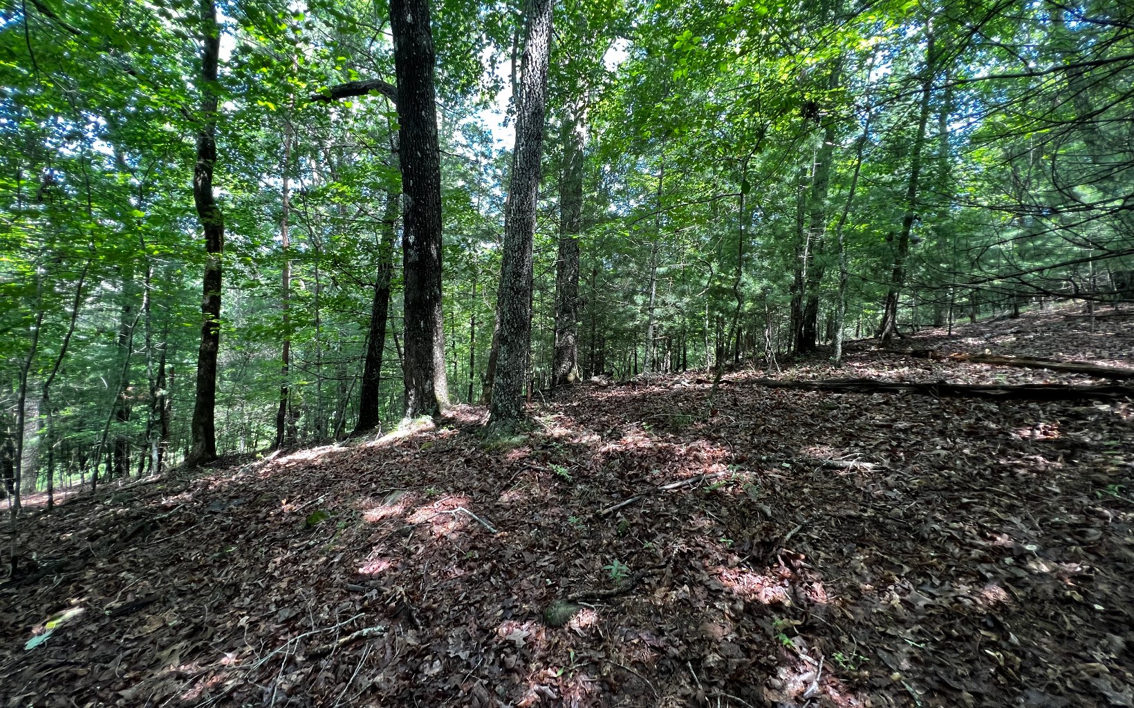 Bring your builder and cabin plans to this beautiful 3.3 acre, unrestricted tract. Located just off Old Dial Rd on a paved, private drive and with the sounds of Buckeye Branch and the rushing Wilscot Creek down below. This lot has a gentle slope to it but with plenty of flat building sites that are already somewhat cleared. You'll find mostly hardwoods on this property giving it that true woodsy, mountain feel, while watching the abundant wildlife stroll through. Located near the Aska Adventure Area, Lake Blue Ridge, and many more activities for those nature enthusiasts.