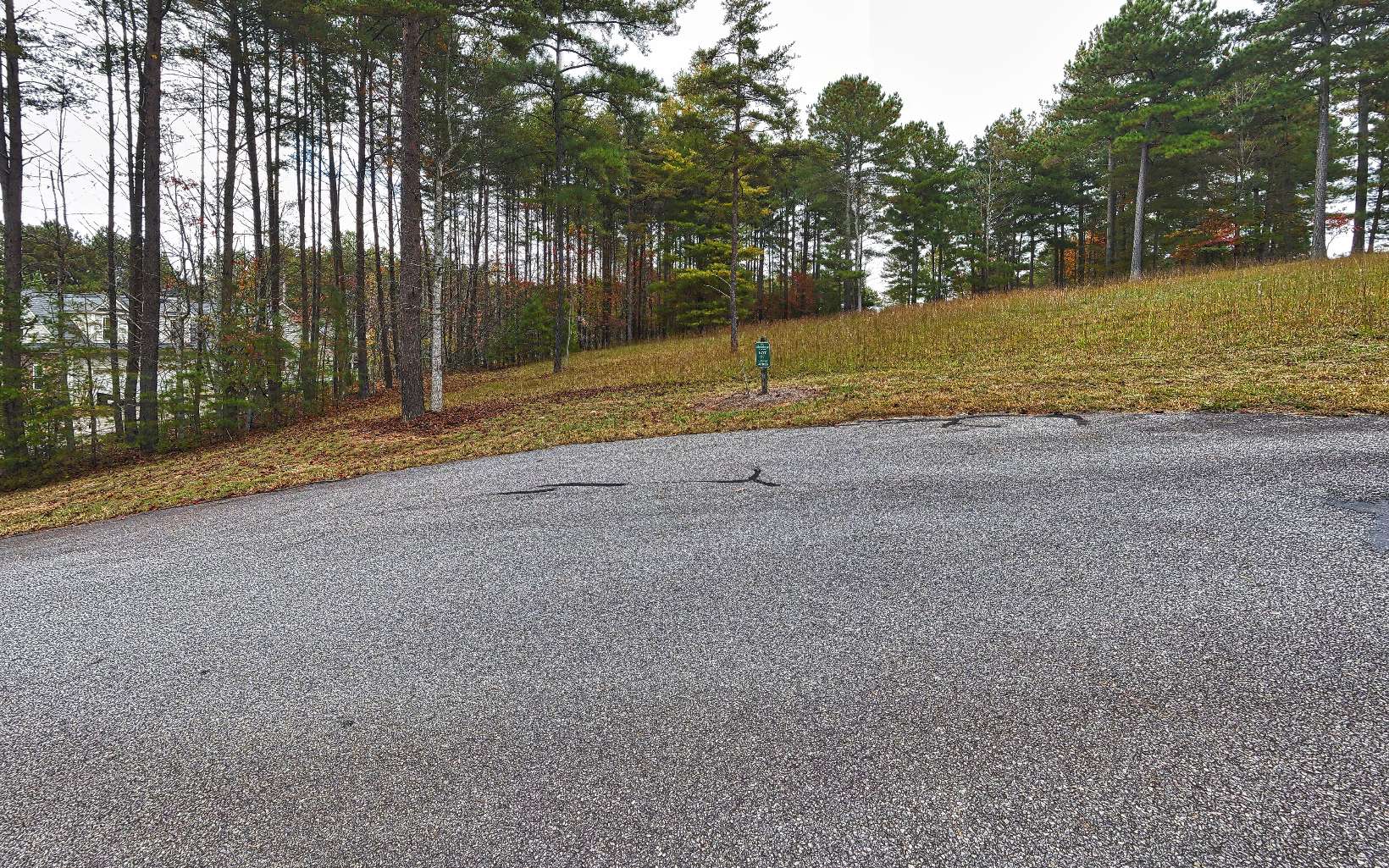 Very gentle 1.17 acre lot located in a gated, established community of upscale homes. Cul-de-sac lot for privacy as well! Underground utilities, excellent location close to Blairsville, Ga & Murphy, NC. All paved access, county water, electric available, gated entrance and a public boat ramp at the end of Deaver Rd! Golf, fishing, boating, shopping and fine dining are just moments away. Less than 30 minutes to new Cherokee Casino. Priced to Move!
