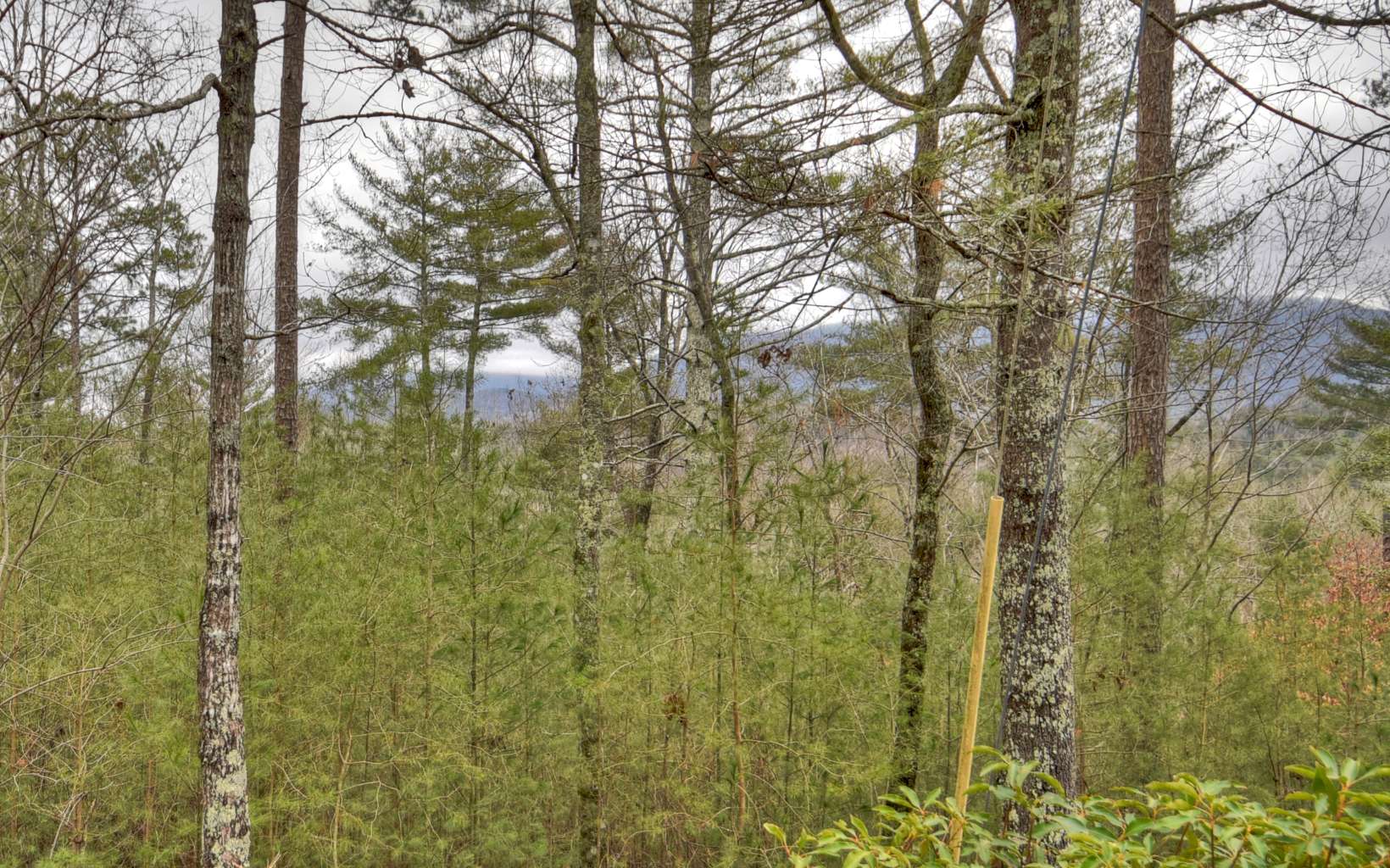 Beautiful lot in prestigious Buckhorn Estates. Check out this 1.68 acre lot with a year round MOUNTAIN VIEW! This gentle lot is builder friendly, with easy access. Buckhorn Estates is conveniently located between Blue Ridge and Ellijay with all paved roads, hi speed Internet available & low HOA fees ($200 per year). This community offers a beautiful river park on the Ellijay River (very popular for exercise and dog walking), an 8 acre fishing lake, and the pleasure of driving your golf cart over to Whitepath Golf Course. This 18 hole GOLF COURSE is open to the public. And Ellijay River Vineyards is located near the entrance of the community. Residents enjoy the changing of the seasons while viewing the abundance of wildlife. Everything to enjoy about the mountains and only 10 minutes to town. (Gilmer County offers "no school tax" for full time residents over the age of 65.)