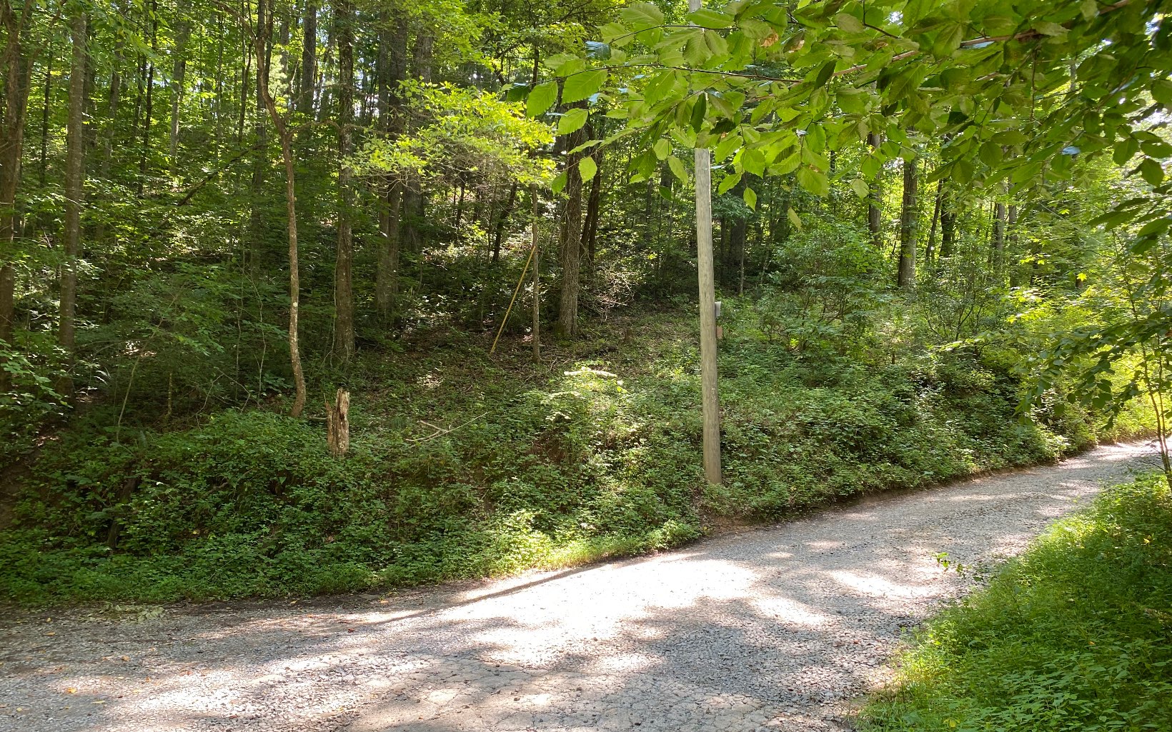 Unrestricted Mountain Acreage - 4.79 Acres located in Beautiful Ellijay, Georgia. This Acreage Features a Meandering Branch Along Property Line, Private Location and Electric To Property Line. Priced To Sell!!