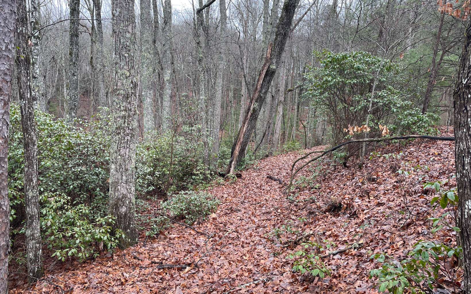 ***Lot with a View*** located on the south side of Blairsville near the Trackrock area. A short distance to all the attractions like, Vogel State Park, AT approach trails, Blood Mountain, Brasstown Bald and much more... Come check this out for your mountain home.