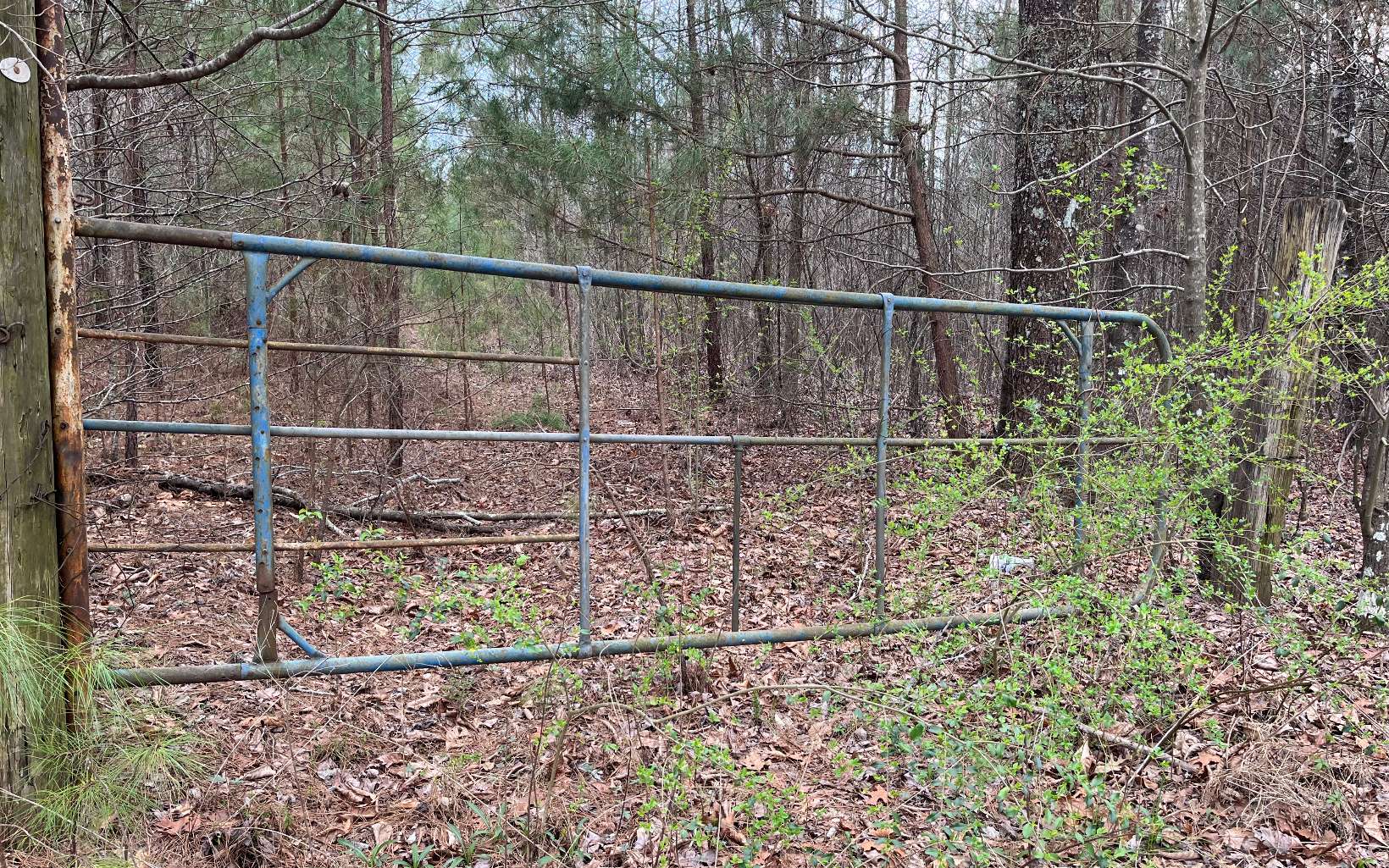 Almost 10 acers of UNRESTRICTED private, useable, gentle, wooded land with multiple building sites. Easy access and close to town, just off paved road. Mobile Homes allowed. Gate installed with driveway.