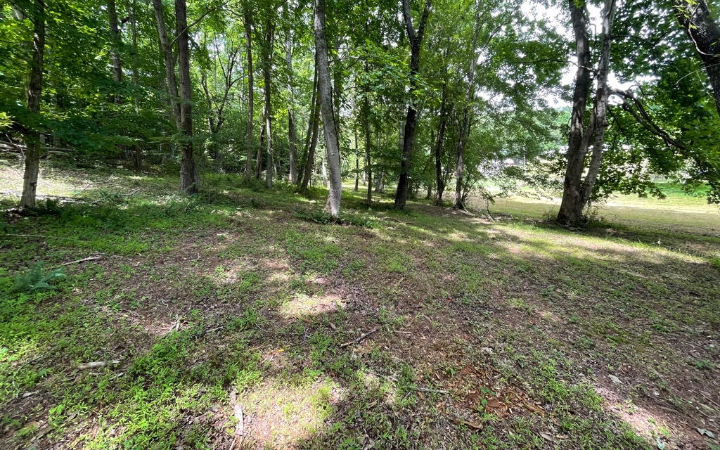 Here is the lot you've been searching for to place your RV/camper on or build a house! Fronts a small stream that flows into Lake Chatuge! Desirable lake location with million dollar lake front homes. Very gentle terrain. Great location less than 5 miles back into downtown Hiawassee. Public water, electric and FIBER internet is available. Paved roads, easy access. Close to hiking, waterfalls, kayaking & the Appalachian Trail.