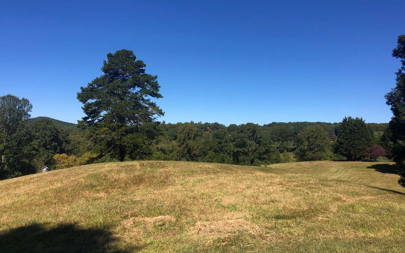 Beautiful estate size lot only about 5 miles from town and close to Lake Nottely. Nearly 5 usable rolling acres with a nice flat knoll to build on. Wide long range view of the pasture and mountains. In an area of nice homes, paved streets, and underground utilities.