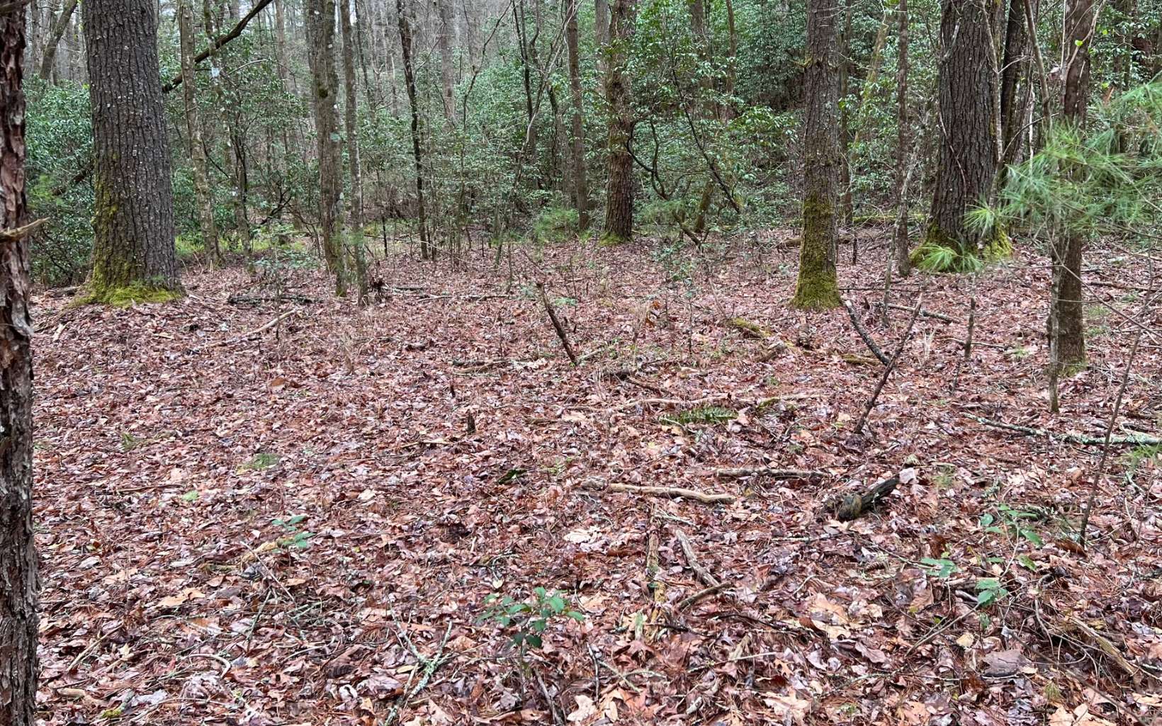 WELCOME HOME! Looking for the perfect place in the beautiful North Ga Mountains to build your long over due dream home? Come check out the 2.92 acres surrounded by mountain laurel and lots of hardwoods to offer plenty of privacy. Located in a gated mountain community, this lot affords lots of road frontage and two small branches and less than a half mile to beautiful and noisy East Mountaintown Creek. Grab your house plans and call your builder and get this dream of yours started!