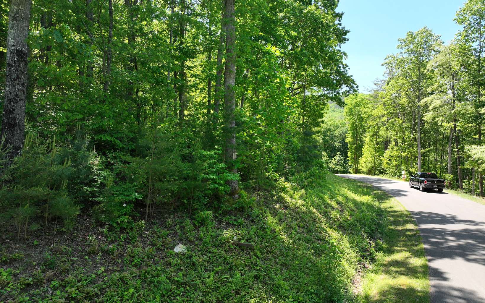 Rolling terrain on Mountain lot with natural springhead! This lot perfectly located close to the lake and walking trails; just a short walk to high waterfalls and a path to the lake! Approaching the lot, near the right boundary you'll find an old logging road. Just a short jaunt up the hill you'll see lots of building spots to choose from! Build in the middle for lots of elbow room, or build towards the top to make the most of seasonal mountain views! Buy now, build later! Close to the front gate, underground electric, cable, phone and a perc test on file make this an easy decision! You'll love the peace and serenity of Falling Waters! Gated, HOA, no RVs or mobile homes.