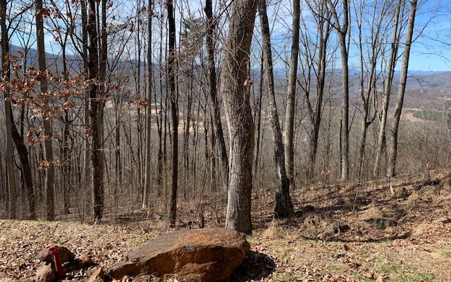 If you’re looking to build your dream home in the North Georgia Mountains, then look no further. Here is an excellent lot with a gentle slope perfect for a basement. Enjoy ENORMOUS views of the GA Mountains and Brasstown Valley on this 1.22 acres lot located in the Rocky Knob Estates Subdivision. This community is gated for your privacy, has well maintained paved roads for easy access, a community area with gazebo, fire pit and observation deck with views to die for. There is even access to the Zell Miller hiking trail from the ridge. There are covenants & restrictions in place to protect your investment. Don’t wait long to make a move. This property is priced to sell.