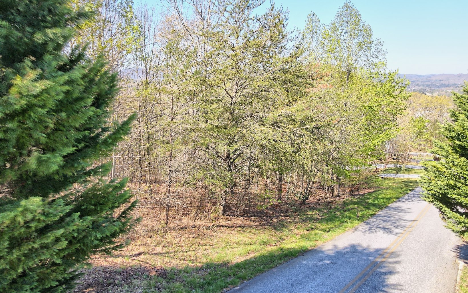Big Views and Close to Downtown Blairsville! Very Nice Community of Homes and the Most Amazing Views in Union County. Come Build Your Dream Home Where There Are Covenants and Restrictions to Protect Your Views and Community But No HOA Dues. The covenants a restrictions are minimal and possibly expired.