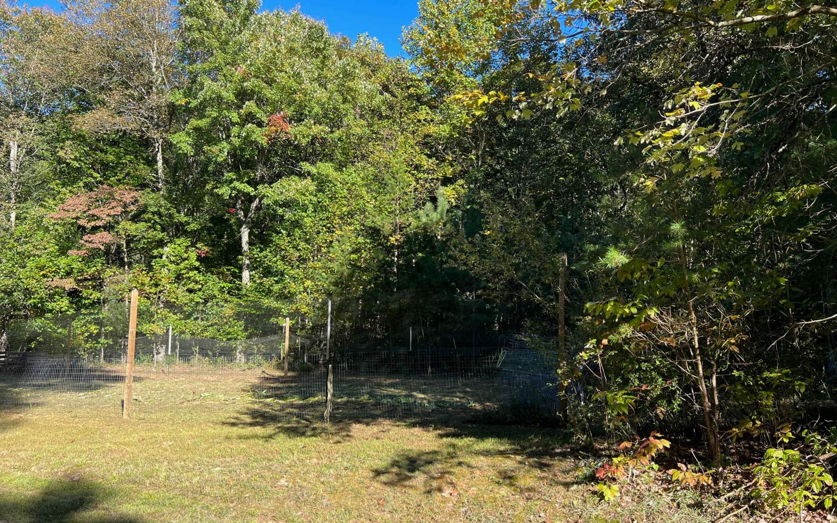 Level laying 1.01 acre lot in desirable neighborhood off of Boardtown Road. This lot has been used as a garden site for many years but zoned residential (R1). No HOA. All paved roads, located 5 miles from the Downtown Ellijay Round-A-Bout. Electric is available, lot will require septic, private well, and home must meet Gilmer County property line setbacks. Mobile homes are restricted. (No perc test has been done on the property)