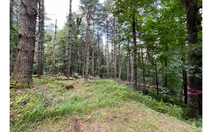 Beautiful culdesac lot located in small community with large spring, small stream and views. Adjoining lot is also for sale.