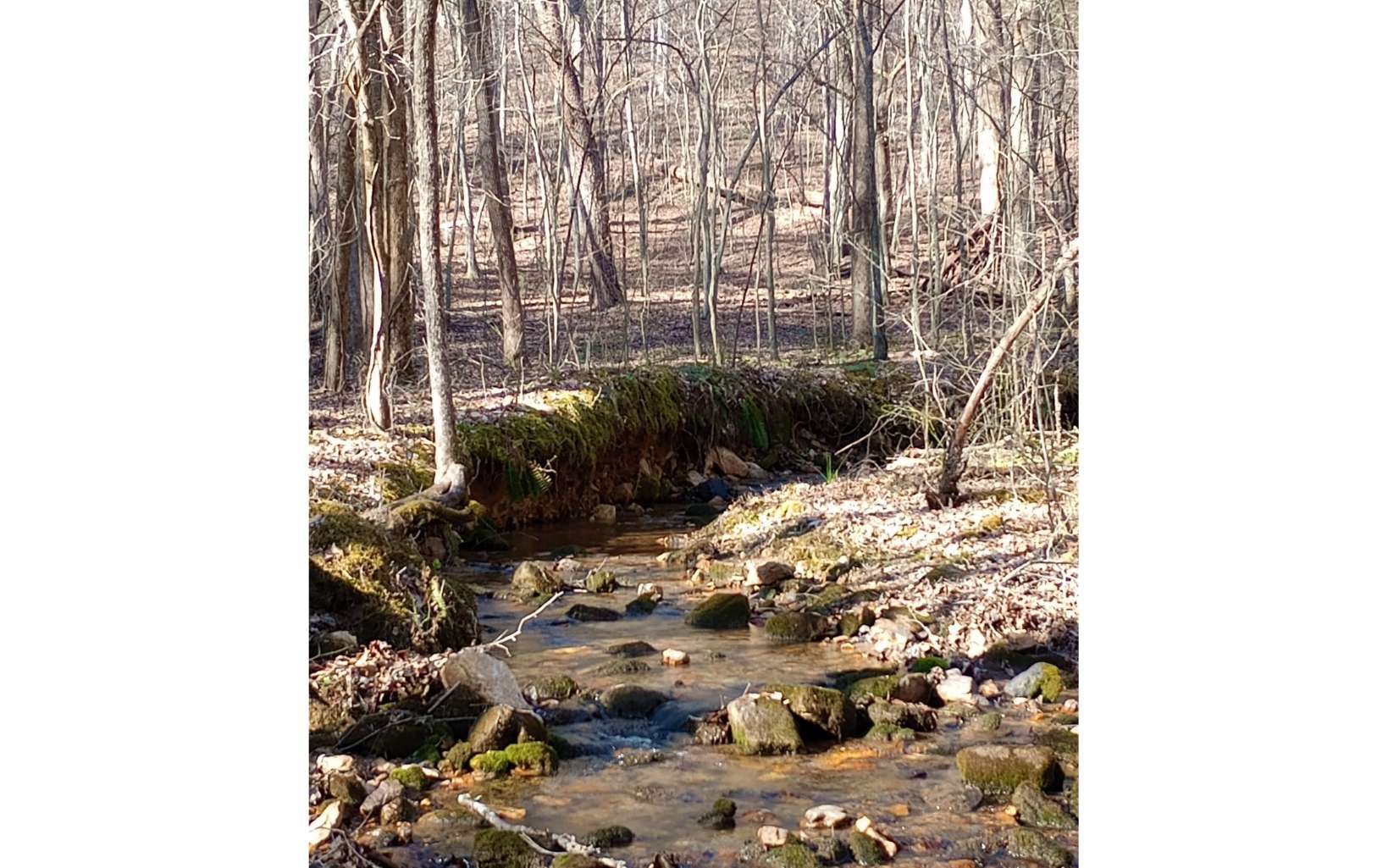 Very gentle, beautiful wooded property in one of the most scenic areas of the North Georgia mountains. This unrestricted property has a lovely branch flowing through it and endless possibilities. See to appreciate! New survey to be completed.