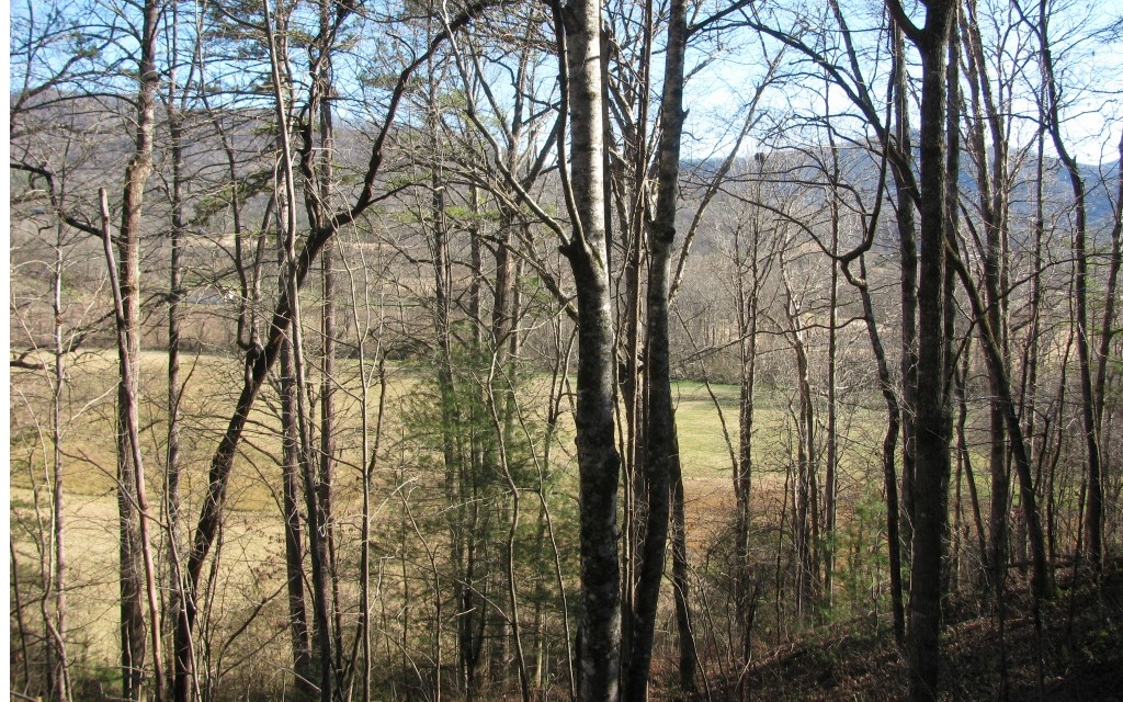 **Wooded building lot in with excellent view potential in Pinecrest Subdivision.**Big hardwoods.**Pinecrest is excellent neighborhood very close to Brasstown Valley Resort and Golf Course, Lake Chatuge and The Ridges Resort and Marina.**