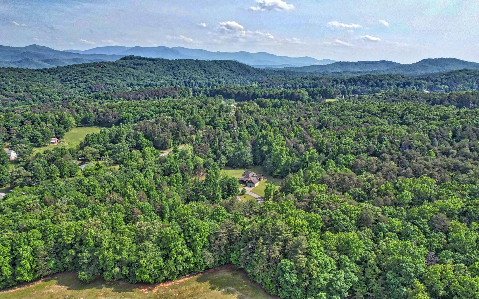 Beautiful Country Estate on Private 16.56 acres + option for add’l 3 acres less than 5 miles to downtown Blue Ridge! Master on Main living. Open floor plan, large stone fireplace/wood burning stove, exposed beams & cathedral ceilings. 3 large bedrooms on main + bedroom upstairs. 2 full/1 half bath on main. Master bath has double sinks, garden tub & separate shower w/ multiple shower heads. Walk-in closets. Separate HVAC upstairs. Large chefs kitchen w/ breakfast nook. Separate formal dining room. Granite countertops/custom cabinets throughout. Oversized laundry room w/ custom cabinetry & space for utility sink. 2 car garage w/ walk up attic. Hot/cold running water in garage & to outdoor shower. Detached 20x40 workshop w/ roll-up door to accommodate boat/RV. Partially finished basement w/stacked stone hearth piped to accommodate a wood stove, stained concrete floors, stubbed for full bath-window, garage door & walk-in door entries. Front entrance wired for auto gate install. Pristine Mountain Spring Water w/ whole house filtration system. Springs are same as those used by Blue Ridge Water Bottling Co! Front & back screen porches w/ custom blinds & ceiling fans. Crawl space areas lined w/ plastic & foam insulation. Over a mile of trails for walking or riding (wide enough for full sized UTV). RV power hook-up. Property would make a beautiful horse farm or estate. Several locations for additional homes or small cabins. Too much to list. Priced to sell!