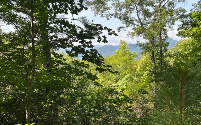 Looking for USFS frontage and year round views to build your dream home. Look no further! This 2.03 acre lot has perfect building spots and with trimming year round mountain and lake views. Don't let this one get away!