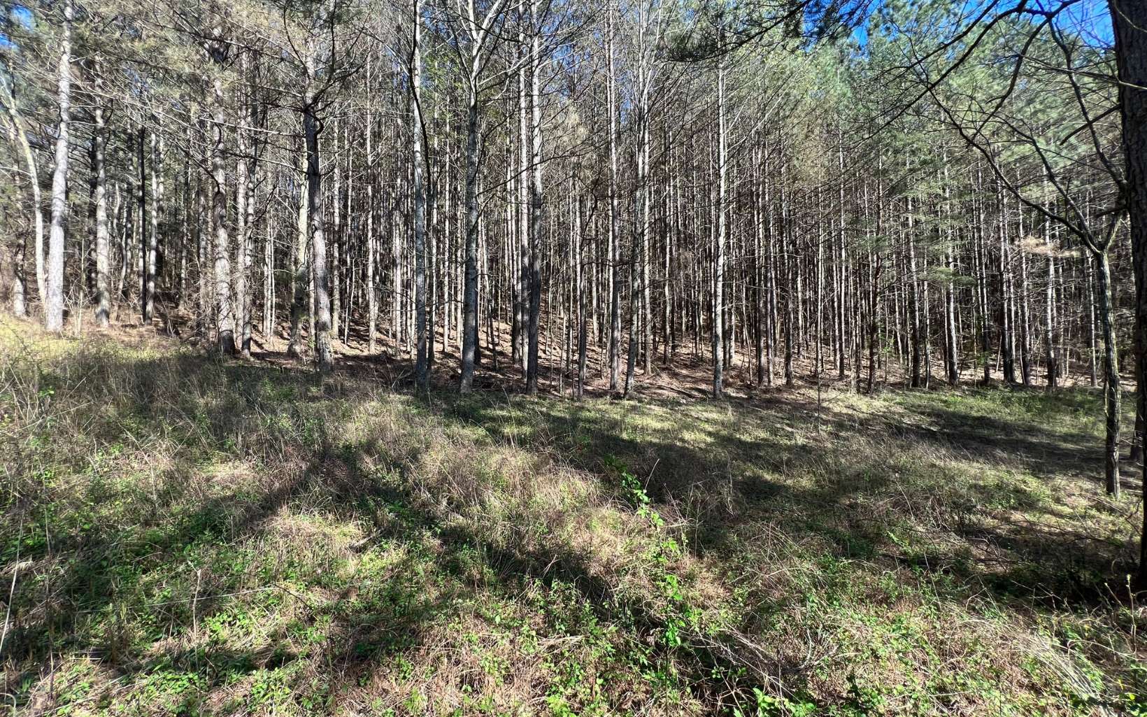 Been looking for that perfect building lot to build your long dreamed about home in the beautiful North GA Mountains? Come check this great level lot with all paved access in a gated community with new homes being built. Underground utilities, community water, timber framed community pavilion with picnic tables, swing for the children & another for adults, sink with running water, creek front hiking trails. Great place to entertain family and friends. Also located on a quite cul de sac for more privacy. Close to Ellijay and Dawsonville and the Cartecay River & Cartecay Vineyard. Bring your house plans and builder and finally make your dream home a reality.