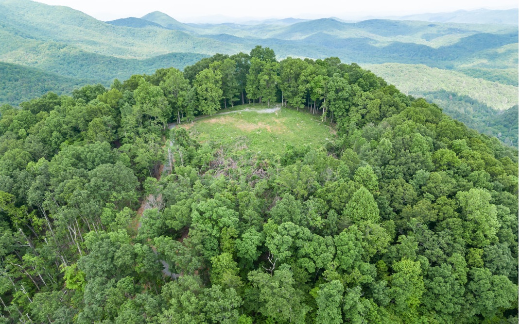 They say life is quieter on a cul de sac. It’s also quieter at the top of a mountain. So why not have BOTH? This 1.59-acre lot offers INCREDIBLE 360-degree views including views of the Cohutta Wilderness to your north plus the Rich Mountain Wilderness to your south. And with the rolling/steep terrain, you’ll have a hillside home at an elevation of 2550 feet at the top of Double Knob Mountain to mirror the community’s name, “Eagles View”. Homeowners here enjoy buried electric and telephone lines as well as use of the recently-installed shared well. Come and live on top of the world with some of the best views in Ellijay!