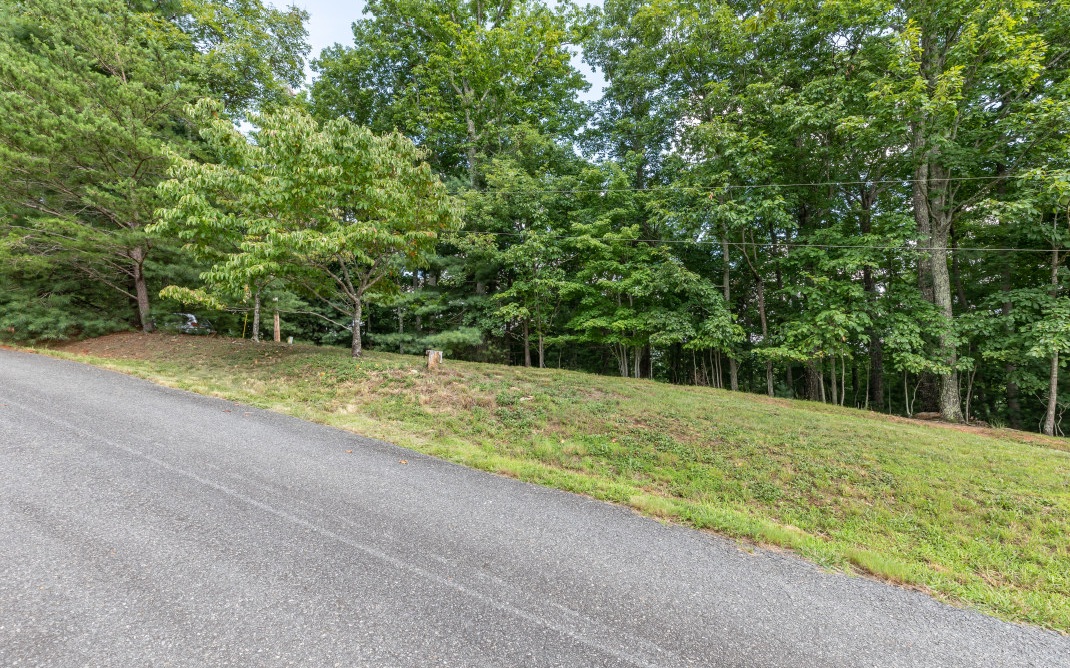 These two adjoining lots fill in the gentle curve of Rich Road, just a few blocks from Mulky Gap Road. Wooded and with rolling terrain, the properties offer mountain views just East of USFS land—perfect for your custom-built home in the north GA mountains. Stay at home and relax or venture out to one of the many nearby hiking trails, Lake Nottely, Helton Creek Falls, or Vogel State Park. DT Blairsville is a quick 10-15 minute drive where you’ll find quintessential Southern cuisine, unique shops, and the occasional museum. Travel West 30 minutes and experience Blue Ridge, GA and all of its many attractions, restaurants, wineries, and breweries. Dahlonega is one hour South where you can enjoy a one-of-a-kind performing arts community, museums, and Amicalola Falls. Together, these lots provide over 1.5 acres of glorious mountain land with a sense of community & many local adventures.