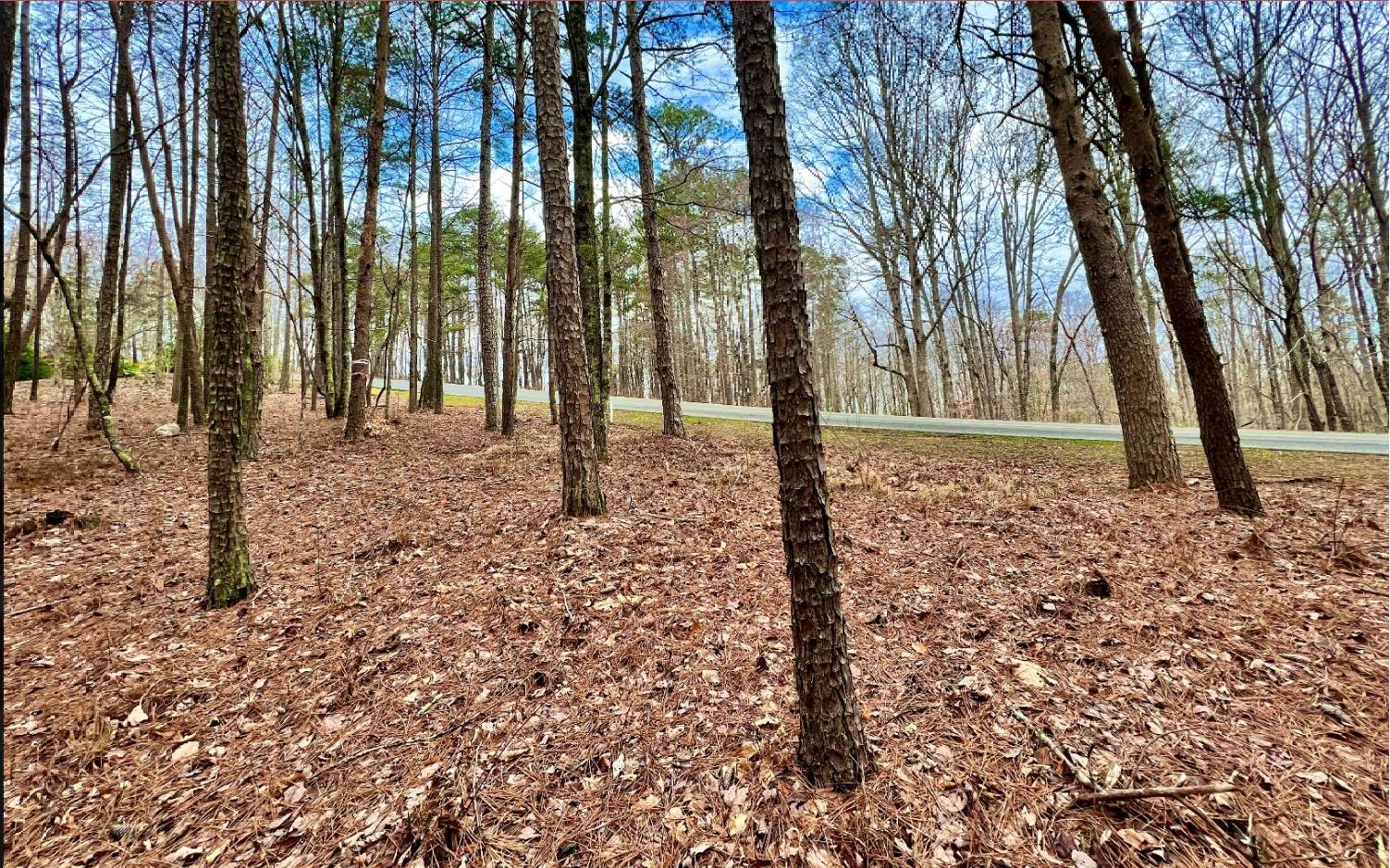 Beautiful level 1.01 acre lot on a paved road Only a 1 mile drive to Carters Lake boat ramp so bring your boat! Rare level lot for the North Georgia Mountains so its a must see! Very desirable community with many beautiful new homes! Reasonable deed restrictions. Lot has mountain views and deer path! Community has all underground utilities, paved roads, county water, community pavilion, walking trails along Harris Creek, and a playground. Located 10 minutes from Ellijay and close to the swimming beach, hiking trails, picnic & camping facilities, and wineries. Lot is not located in the gate.