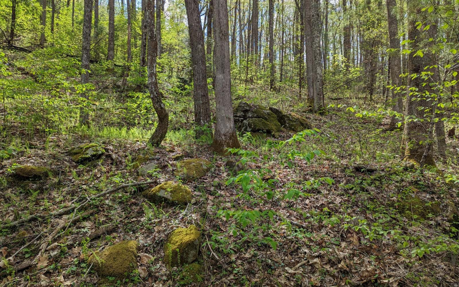 Located in the upscale Epworth area of Fannin County, this magnificent rural mountain lot is 3.88 rustic acres with mature hardwoods. Large outcroppings make several suitable house sites. Power and well available. Mountain views at top with vista pruning.