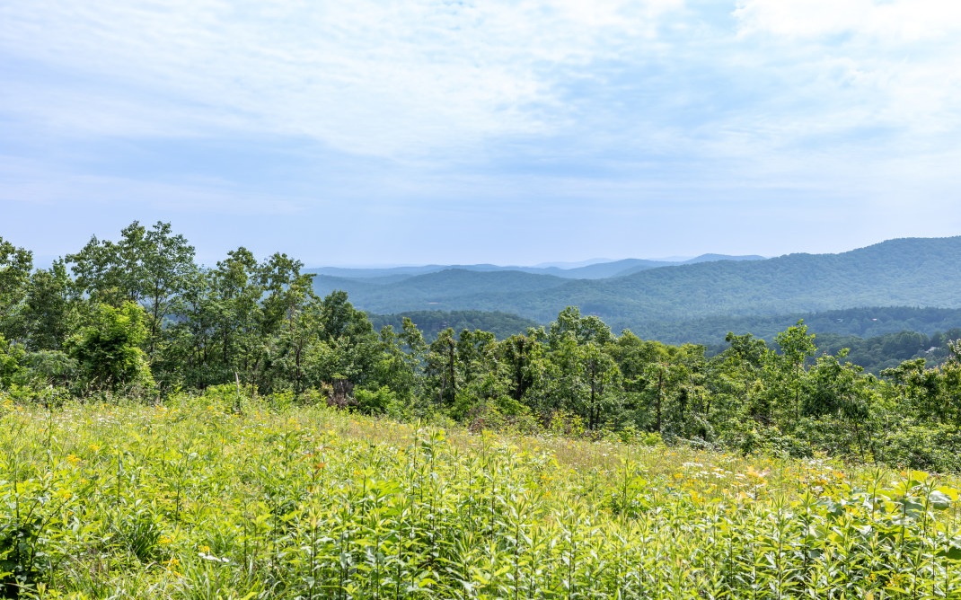 Here’s your chance to practically own your own cul de sac at the top of Double Knob Mountain! This lot surrounds the turnaround at the end of Eagles Lane in the Eagles View community about 20 minutes north of downtown Ellijay. You’ll get the BEST views when building here due to the rolling/steep terrain—a 2550 ft elevation—as hillside homes give you the mountain views you’re looking for. In fact, the lot has already been cleared for amazing views of the Cohutta Wilderness to your north plus the Rich Mountain Wilderness to your south. Plus, enjoy underground power and phone lines along with a recently-installed shared well. Come and own your own turnaround at the top of a mountain and enjoy 360 degree views. You’ll truly be living on top of the world!