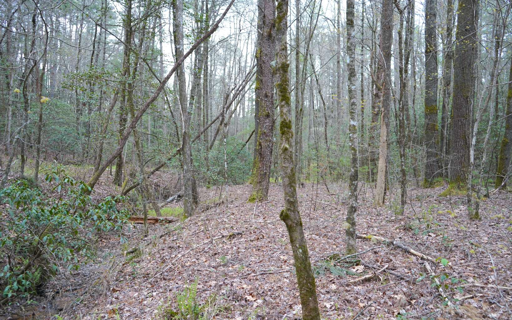 Private, serene, and TWO noisy branches! Enjoy fragrant ferns and mountain views on this 2.92 acre lot with multiple building sites. Gated community with a picturesque drive over East Mountaintown Creek on your way to the property. Don't miss out on your opportunity to own a piece of the North Georgia Mountains!