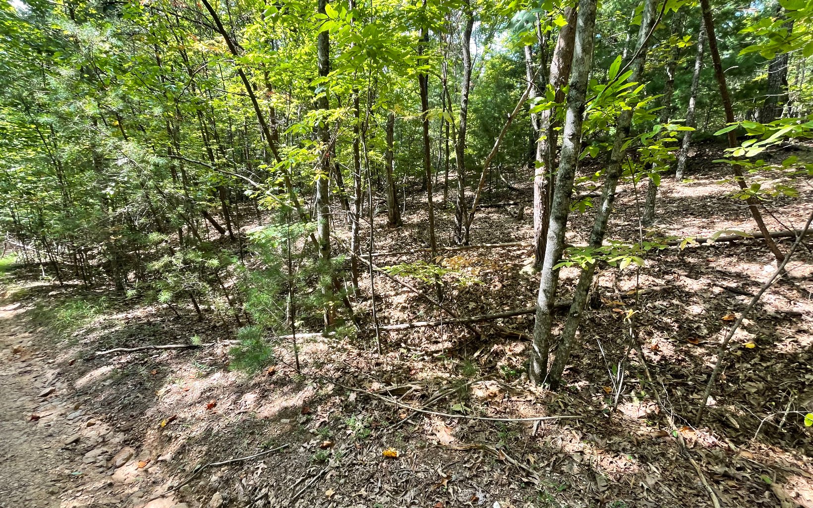 BEAUTIFULLY WOODED PRIVATE LOT IN THE NORTH GEORGIA MOUNTAINS! Come build your private mountain getaway on this 2+ acre lot in the mountains of North Georgia.