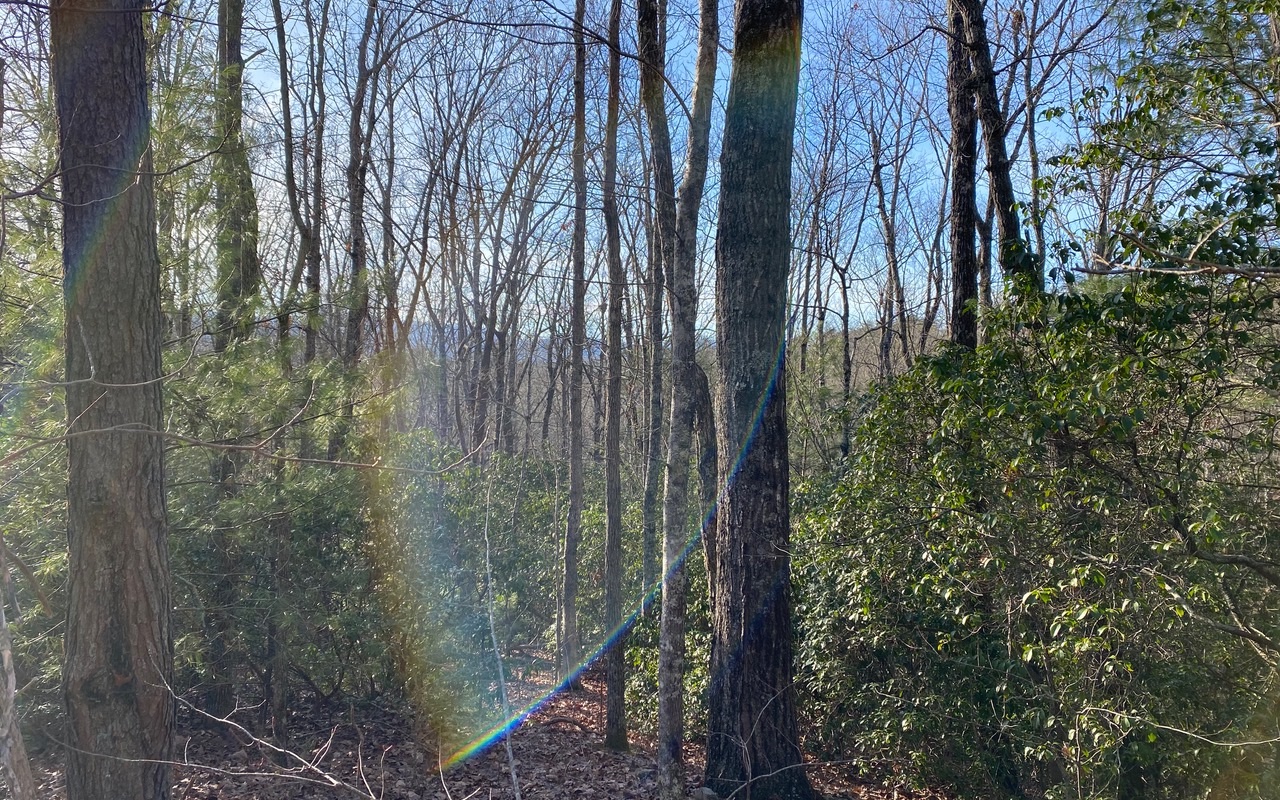 Stunning views from this 2 acre lot in the popular Cohutta/ Sunrock area. Multiple building sites. Easy drive to Historic Downtown Blue Ridge and all of the outdoor activities this area has to offer. Community water, & underground power. Additional lots available.
