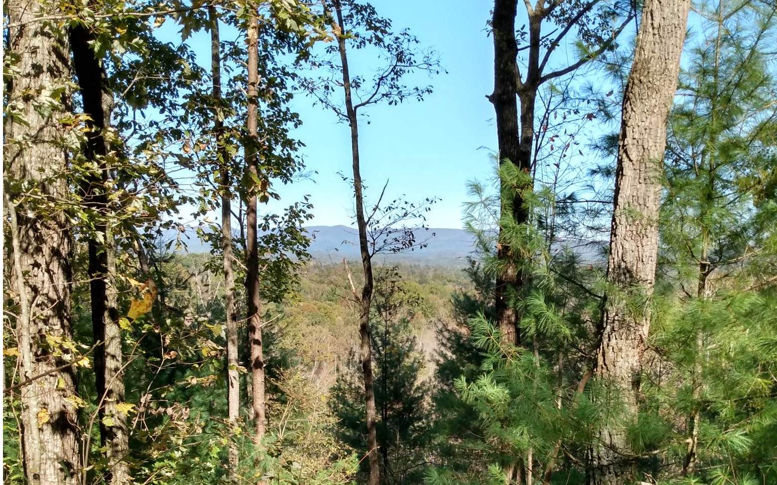 "Don't miss this opportunity to purchase a rare 2 acre UNRESTRICTED lot with NO HOA and breathtaking Cohutta Mountain views. This gorgeous parcel is the third highest lot on Pine Mountain, has excellent topography for home sites, power easily available at front of property, an active perc test and septic permit on file, and will have year round long range views after mimal clearing for a septic field. Get this before it's gone and build your dream cabin, tiny home, geodome, manufactured home, or whatever else your heart desires (Gilmer county requires all habitable structures to be a minimum of 500sf ). Some owner financing may be considered with an acceptable offer. Call agent for more details.